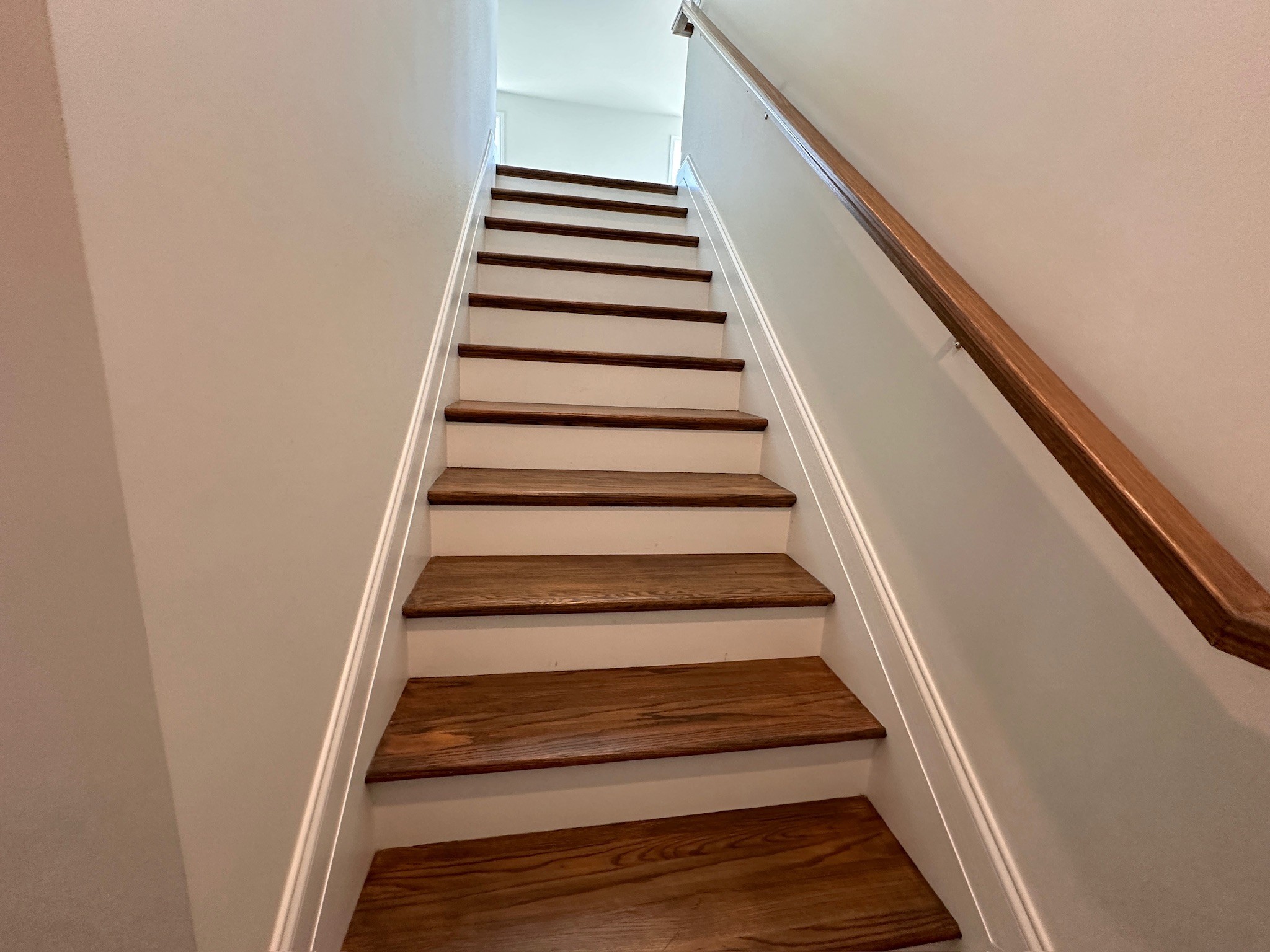 1910 Hildebrand Ln