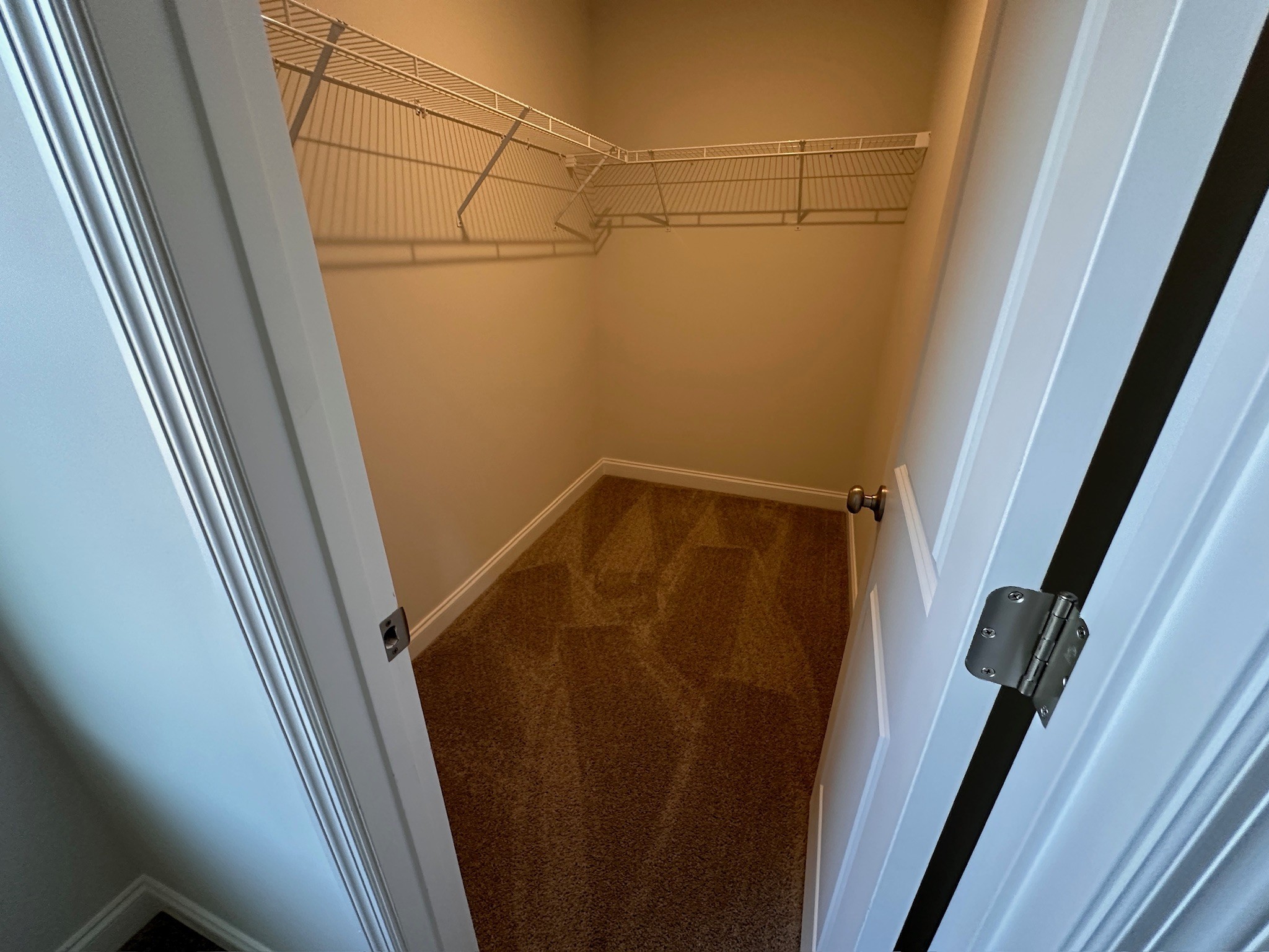 1910 Hildebrand Ln