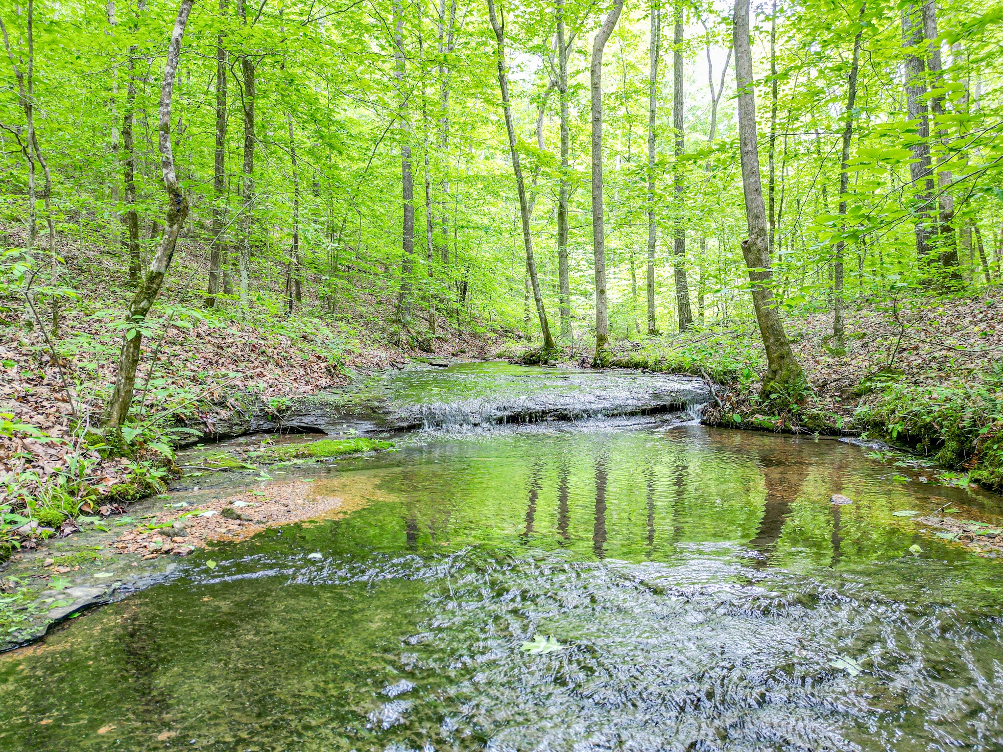 5568 Parker Branch Road