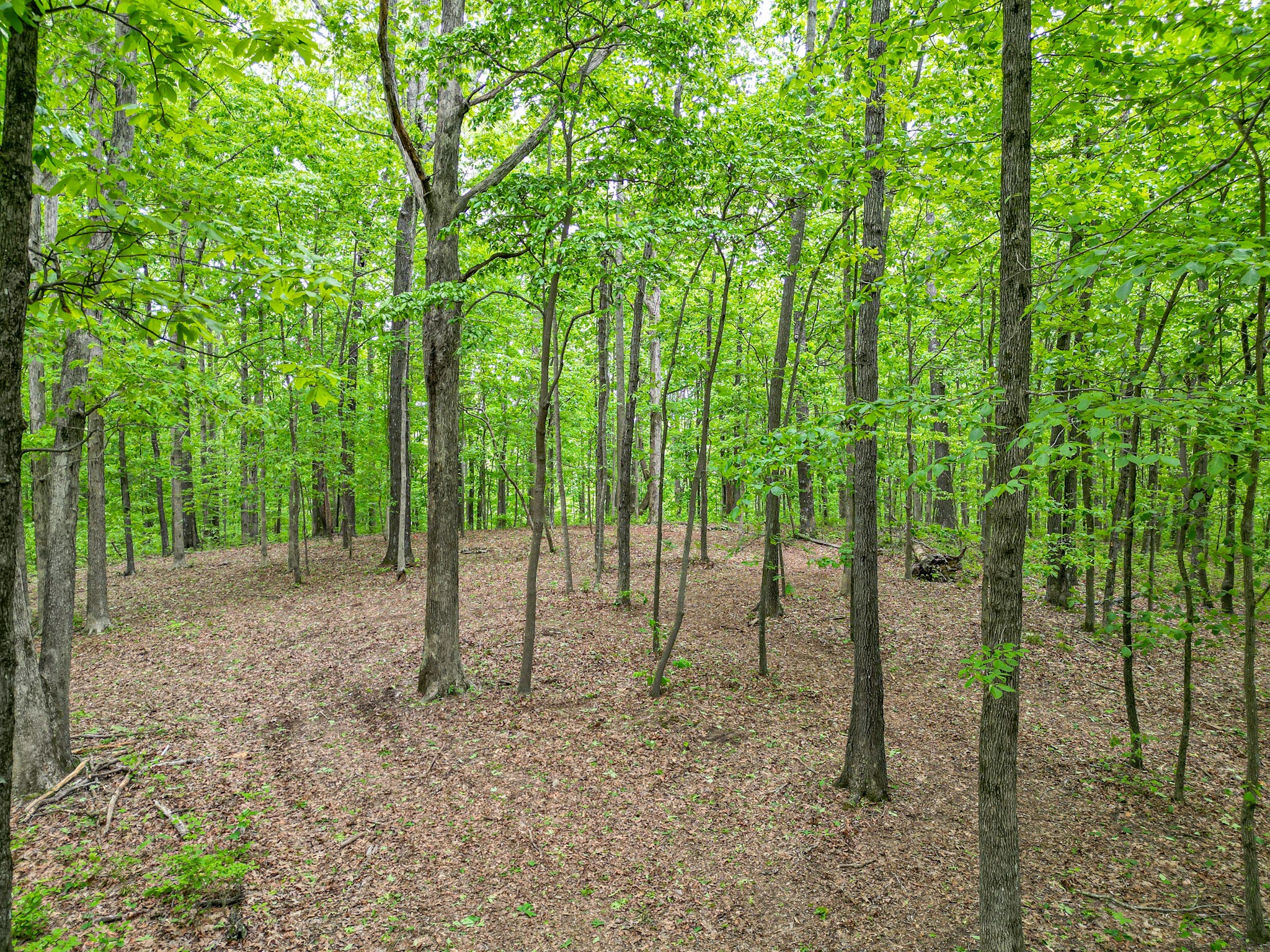 5568 Parker Branch Road