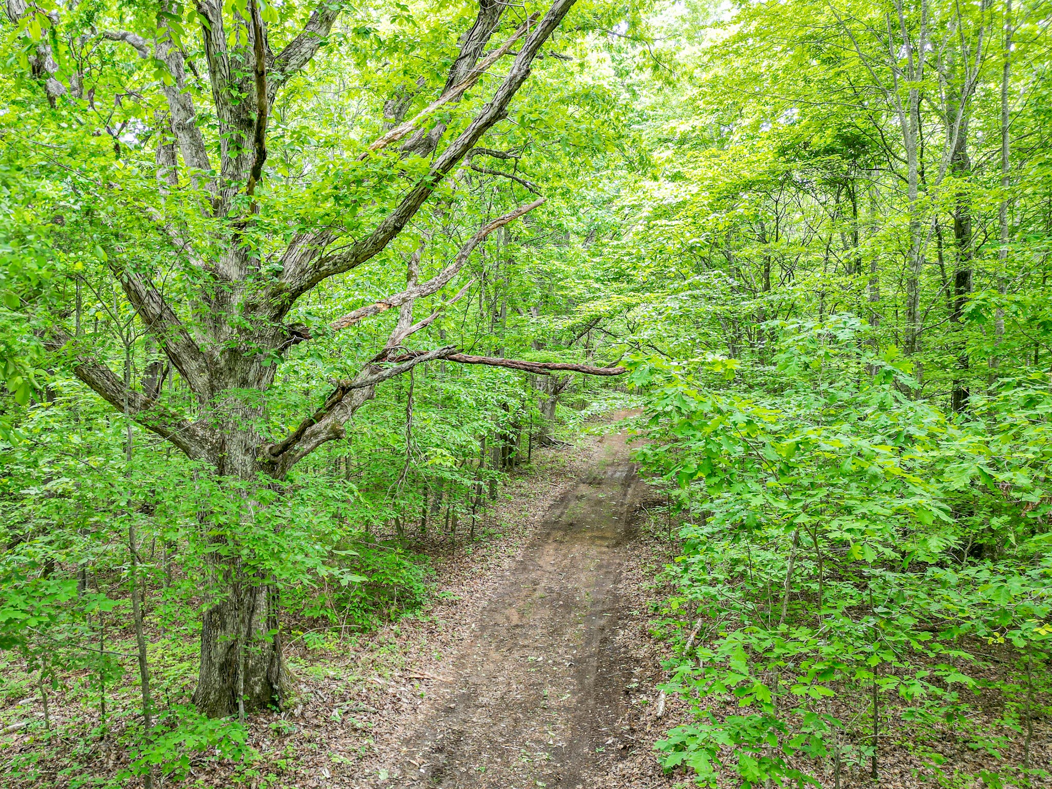 5568 Parker Branch Road