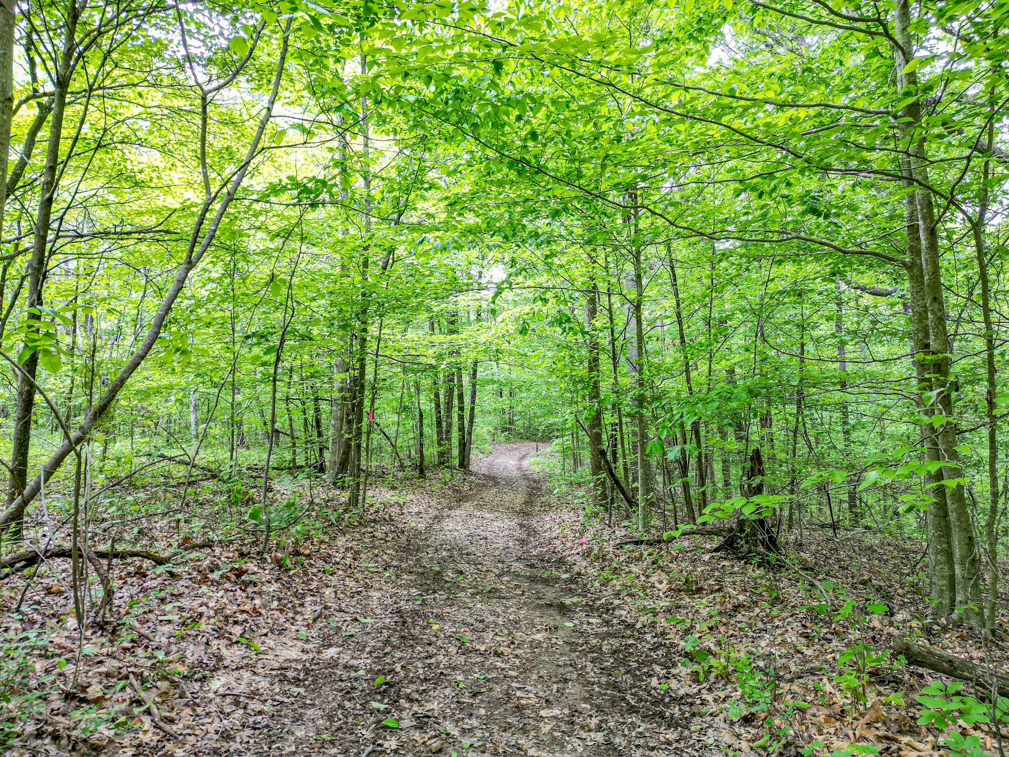 5568 Parker Branch Road