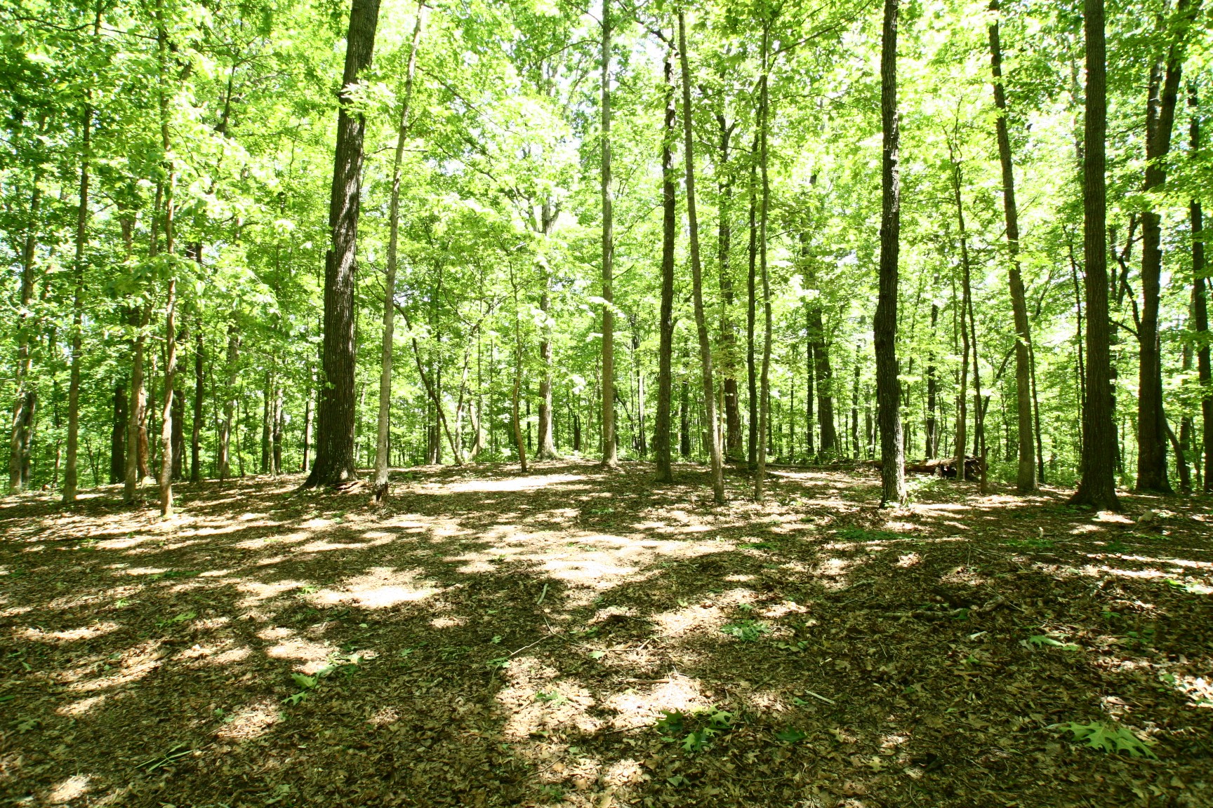 5568 Parker Branch Road