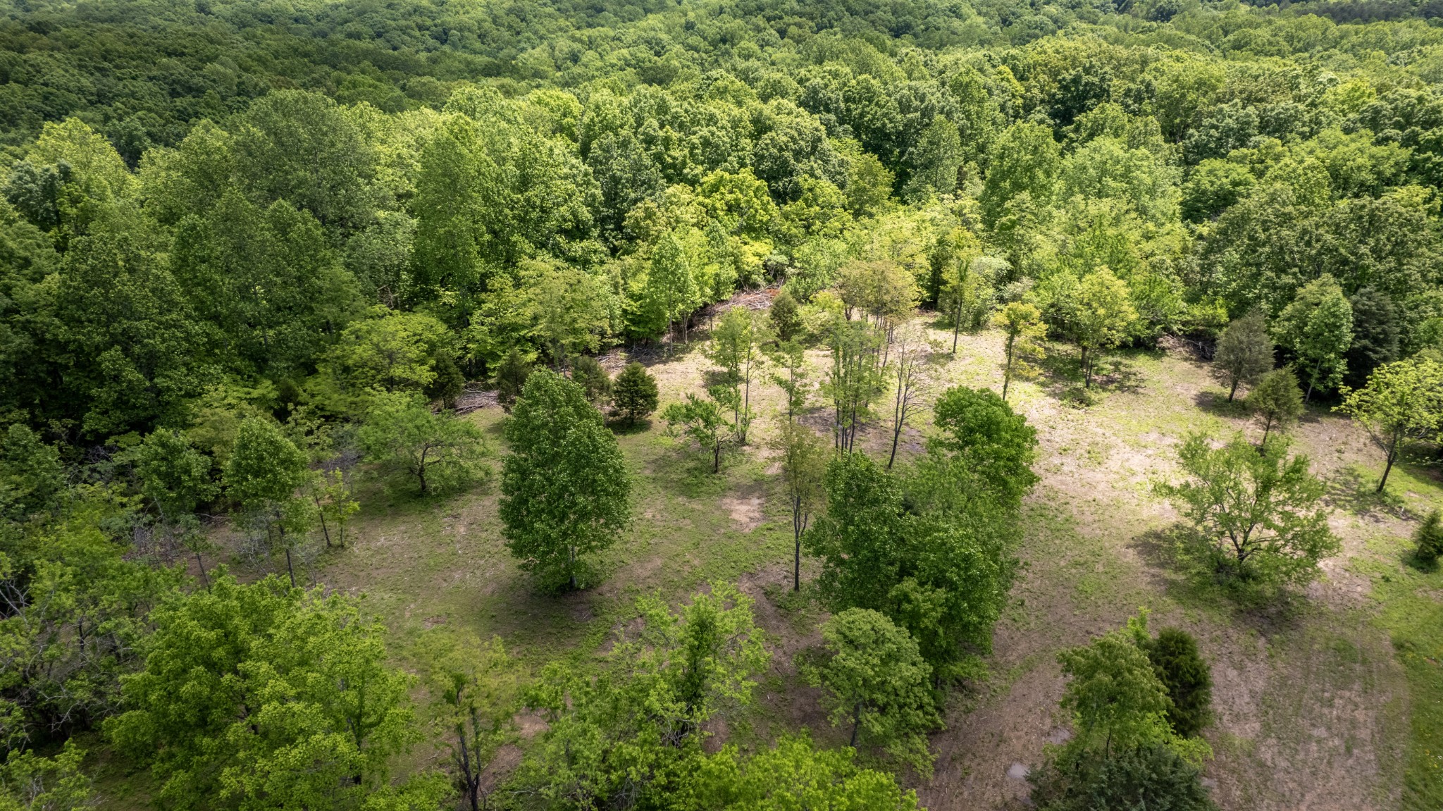 5568 Parker Branch Road