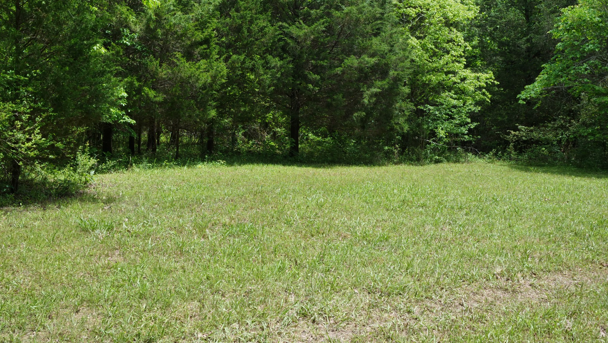 5568 Parker Branch Road