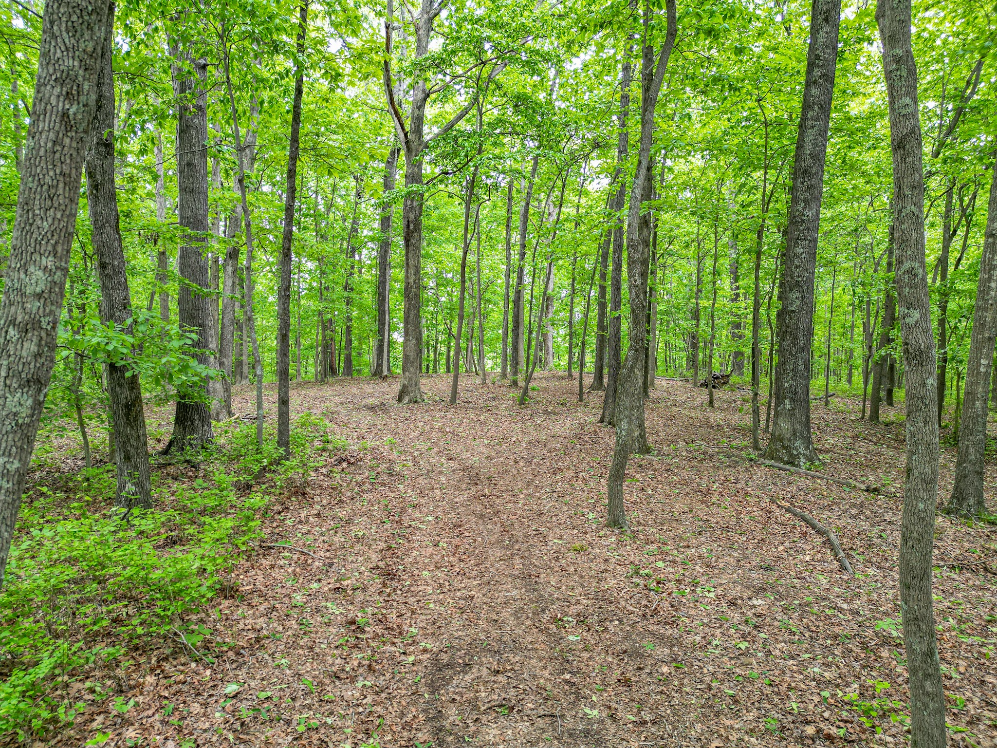 5568 Parker Branch Road