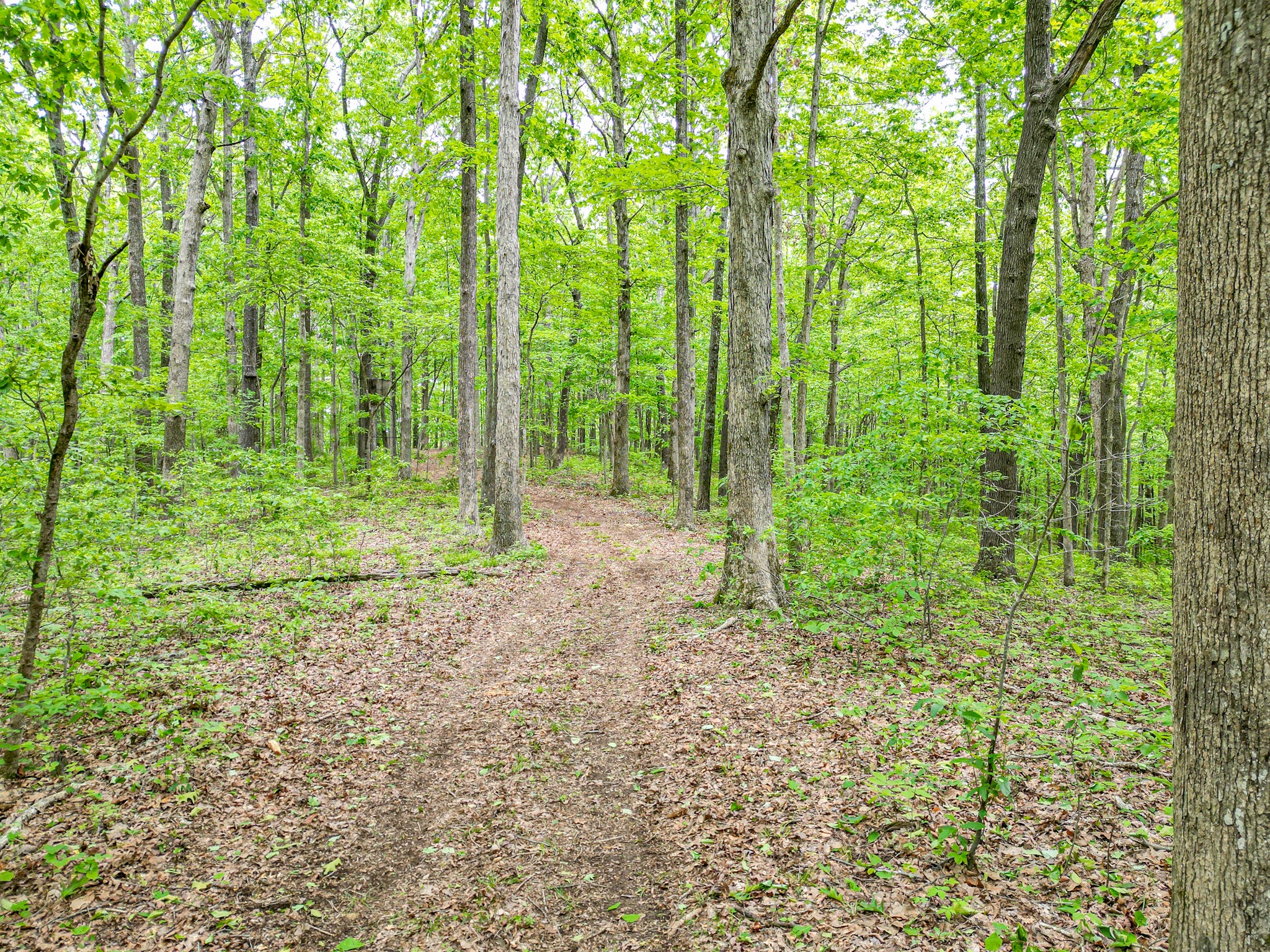 5568 Parker Branch Road