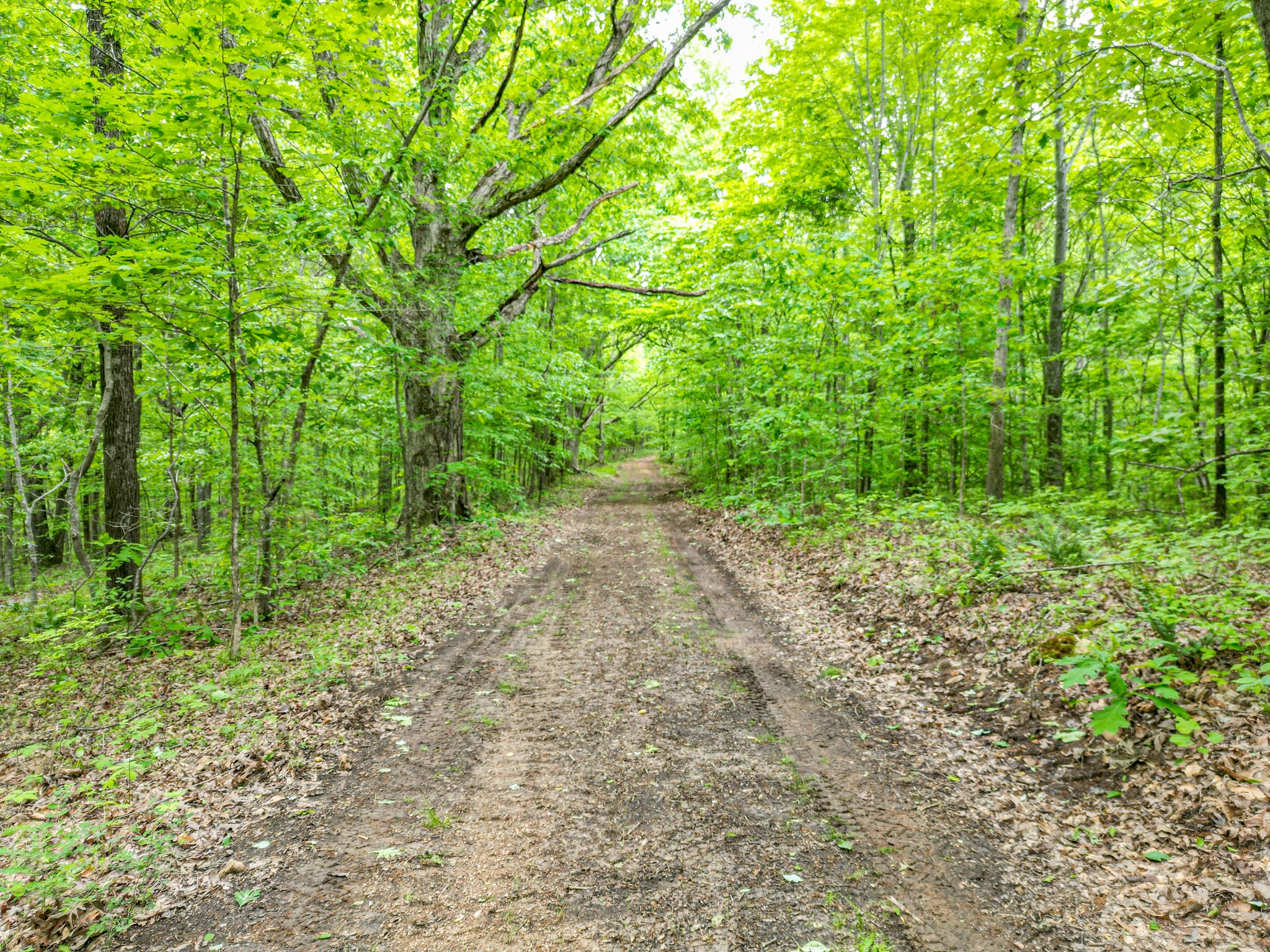 5568 Parker Branch Road