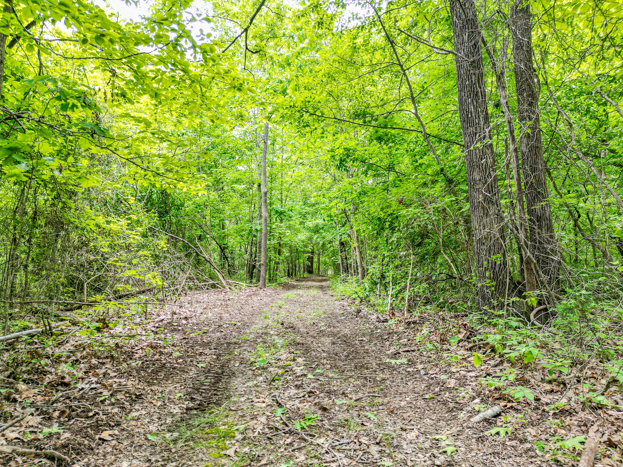 5568 Parker Branch Road