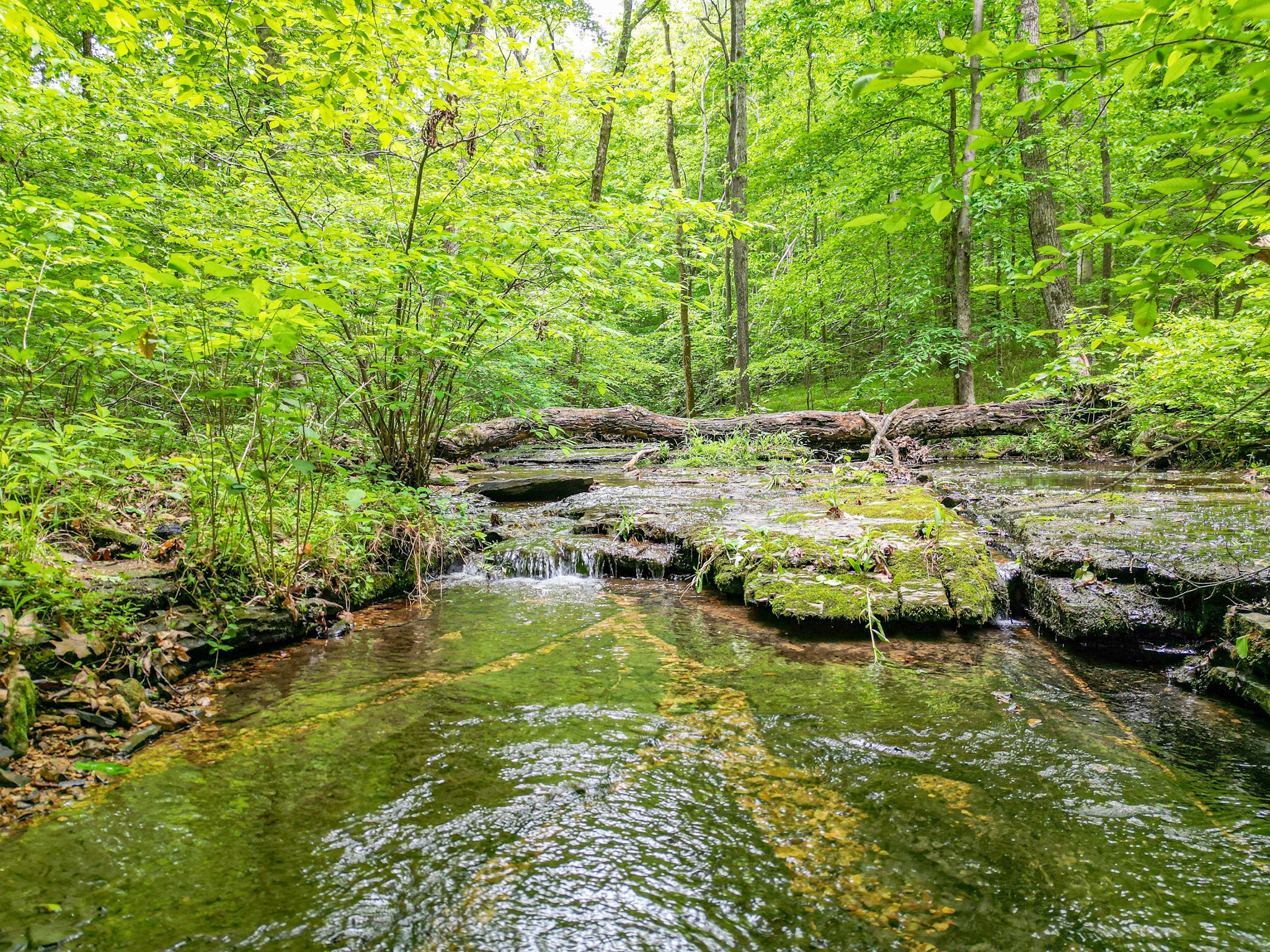 5568 Parker Branch Road