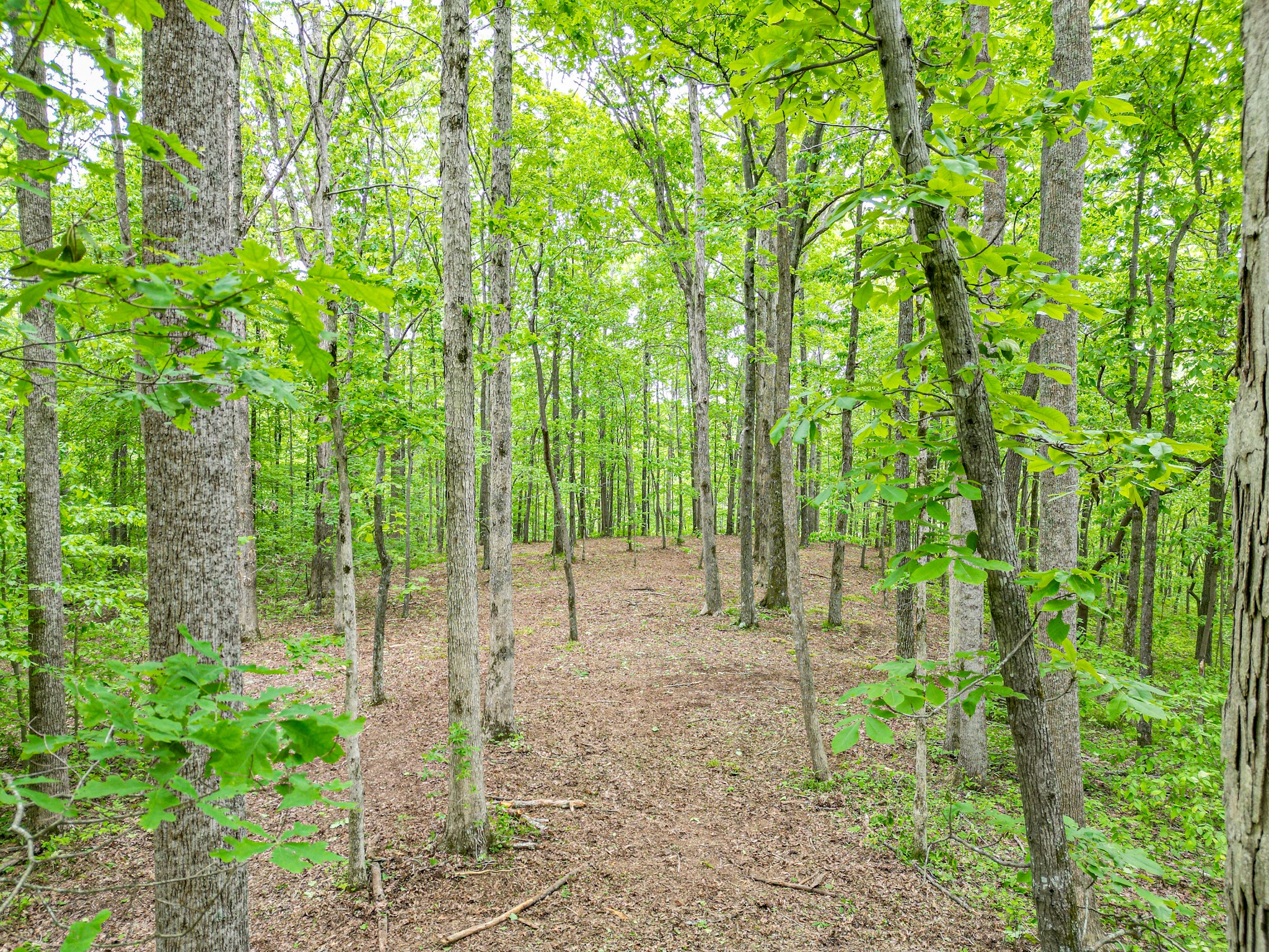 5568 Parker Branch Road