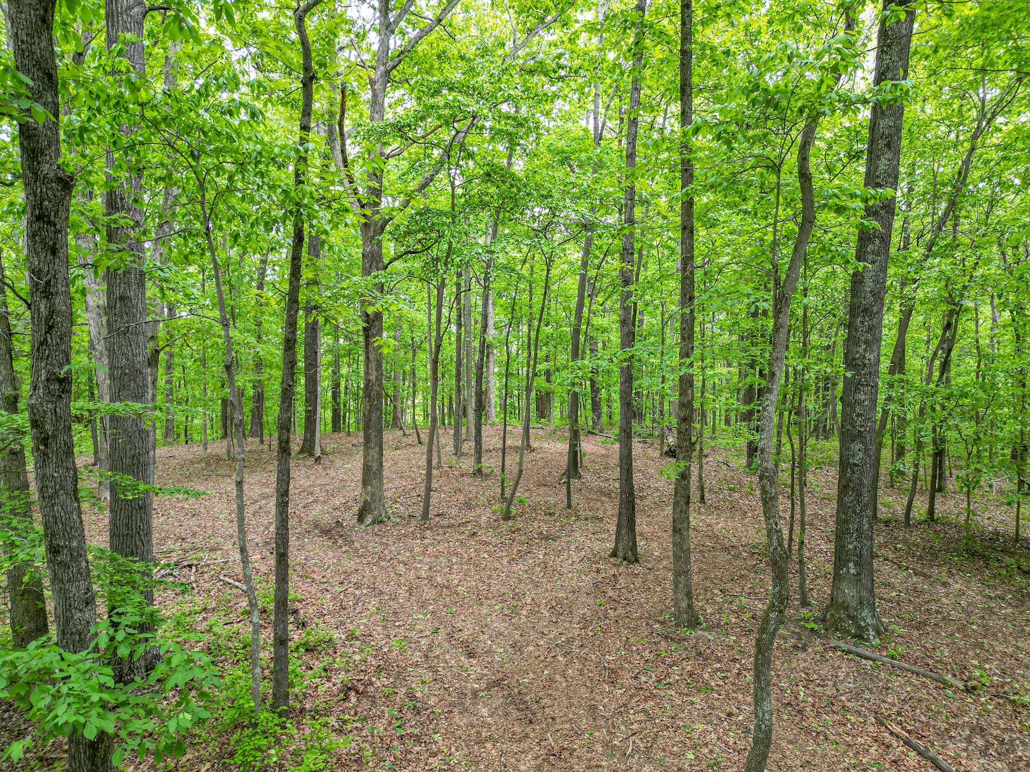 5568 Parker Branch Road