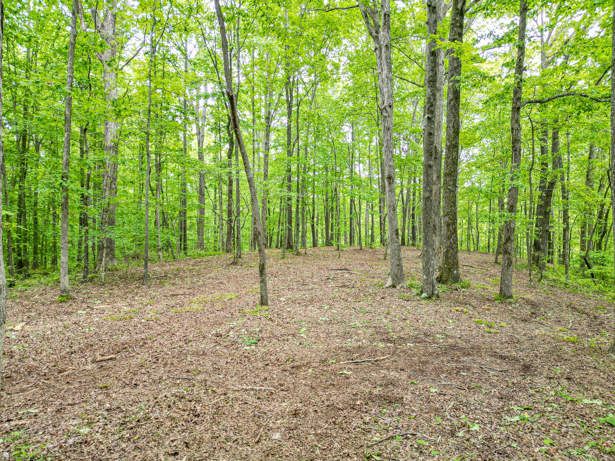5568 Parker Branch Road