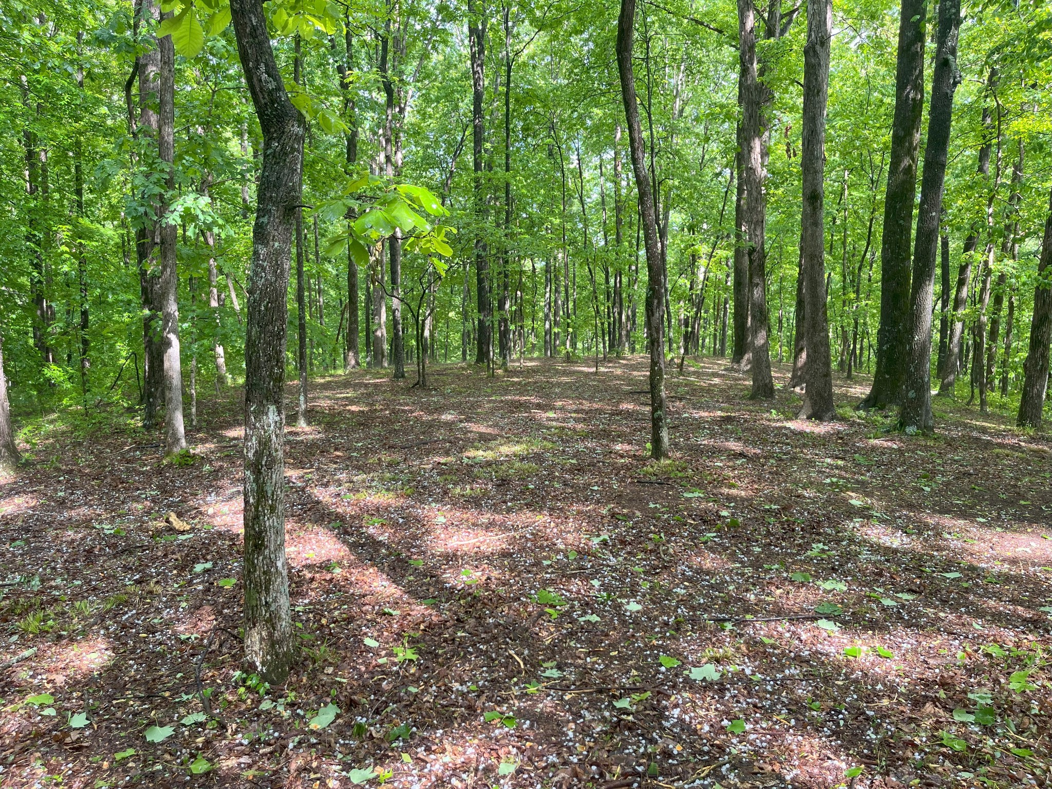 5568 Parker Branch Road
