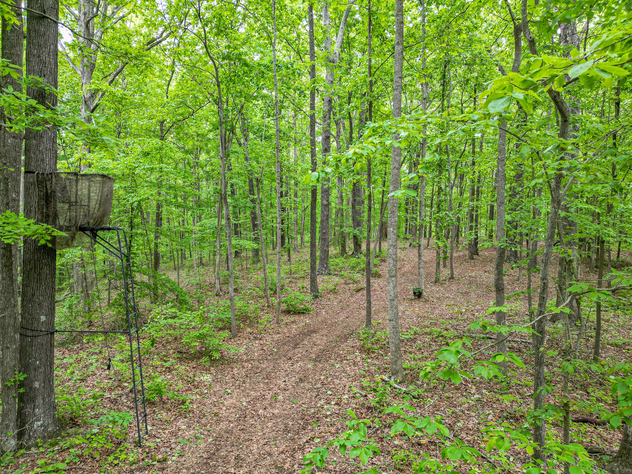 5568 Parker Branch Road