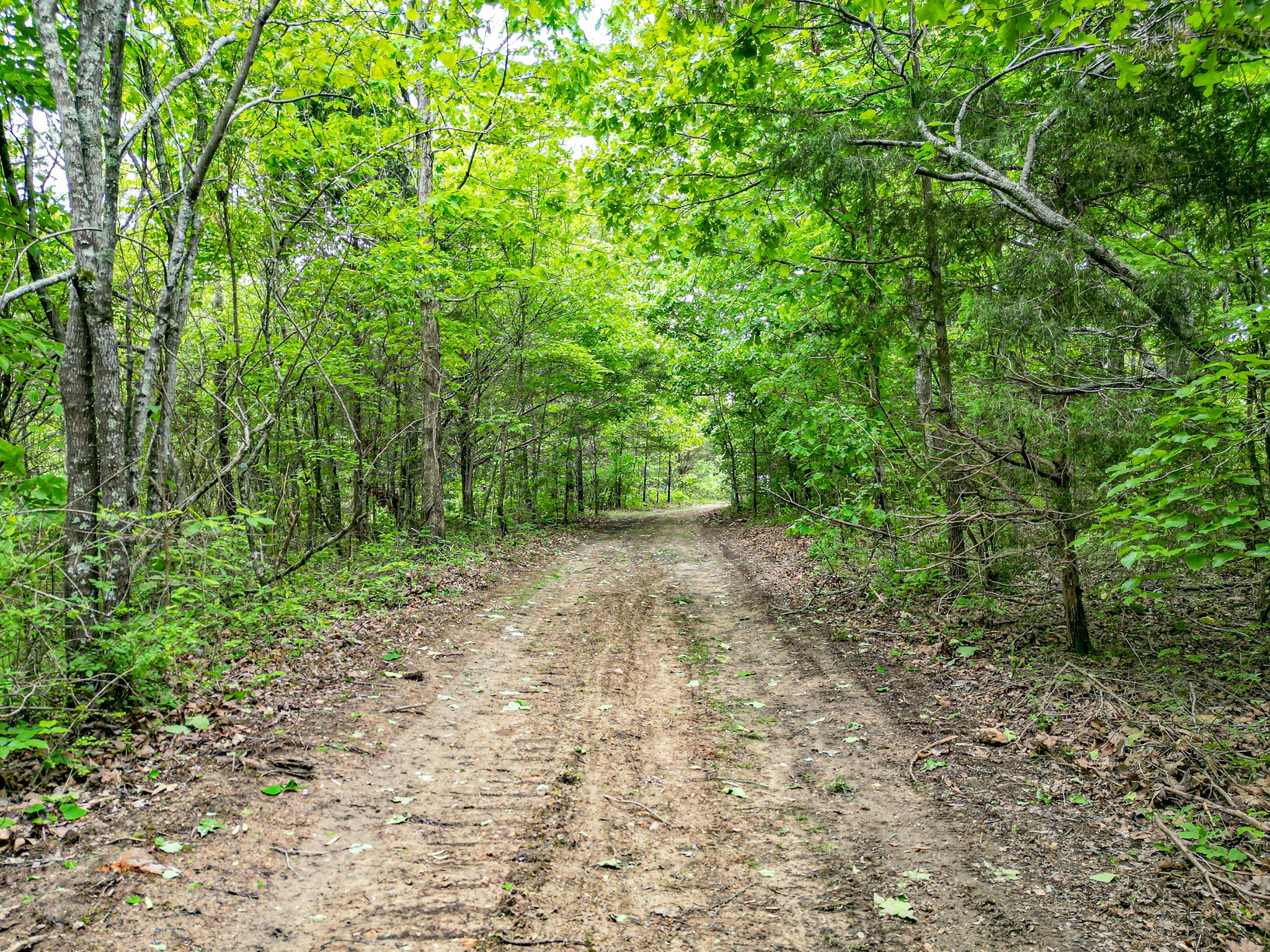 5568 Parker Branch Road