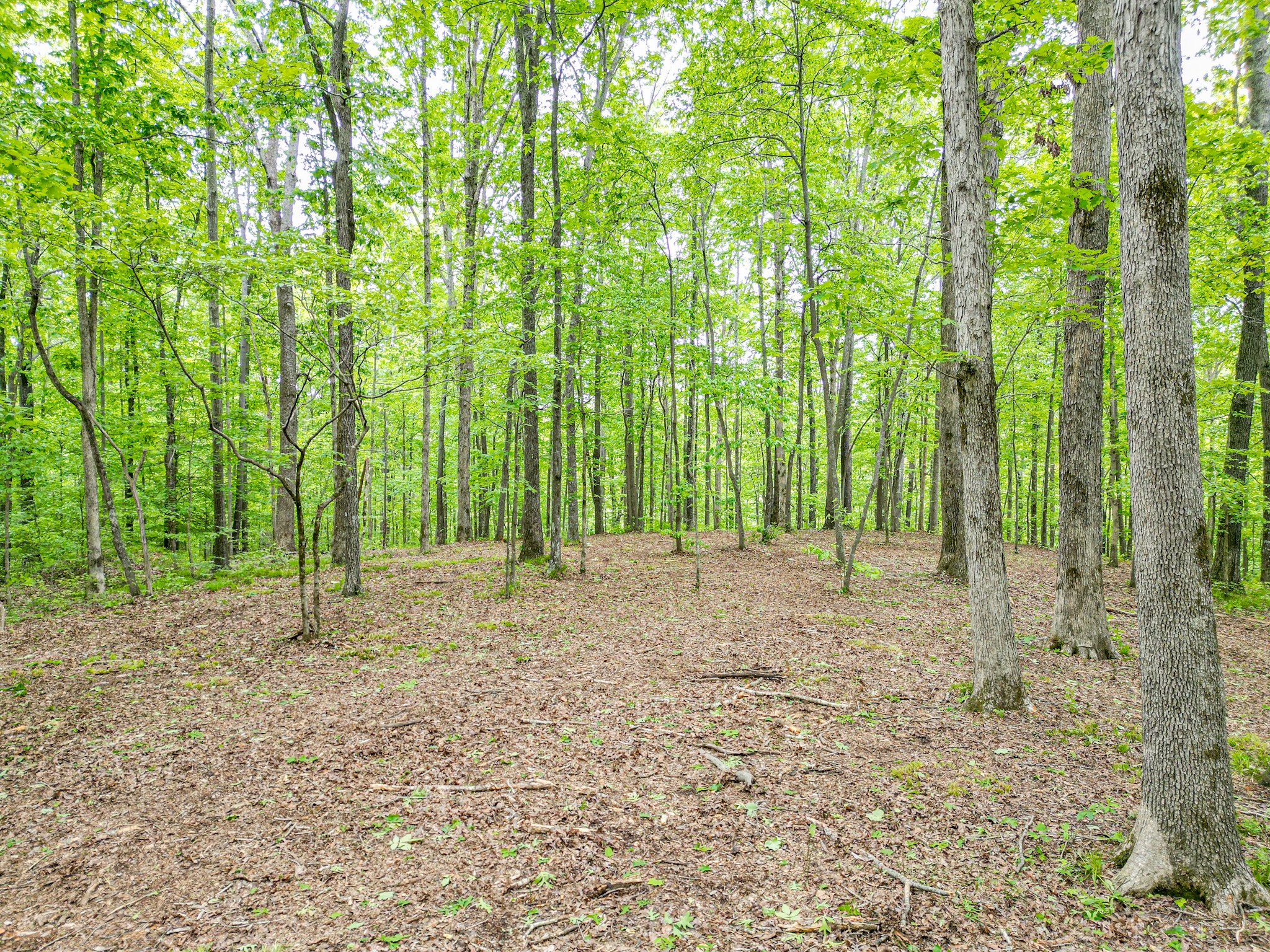 5568 Parker Branch Road