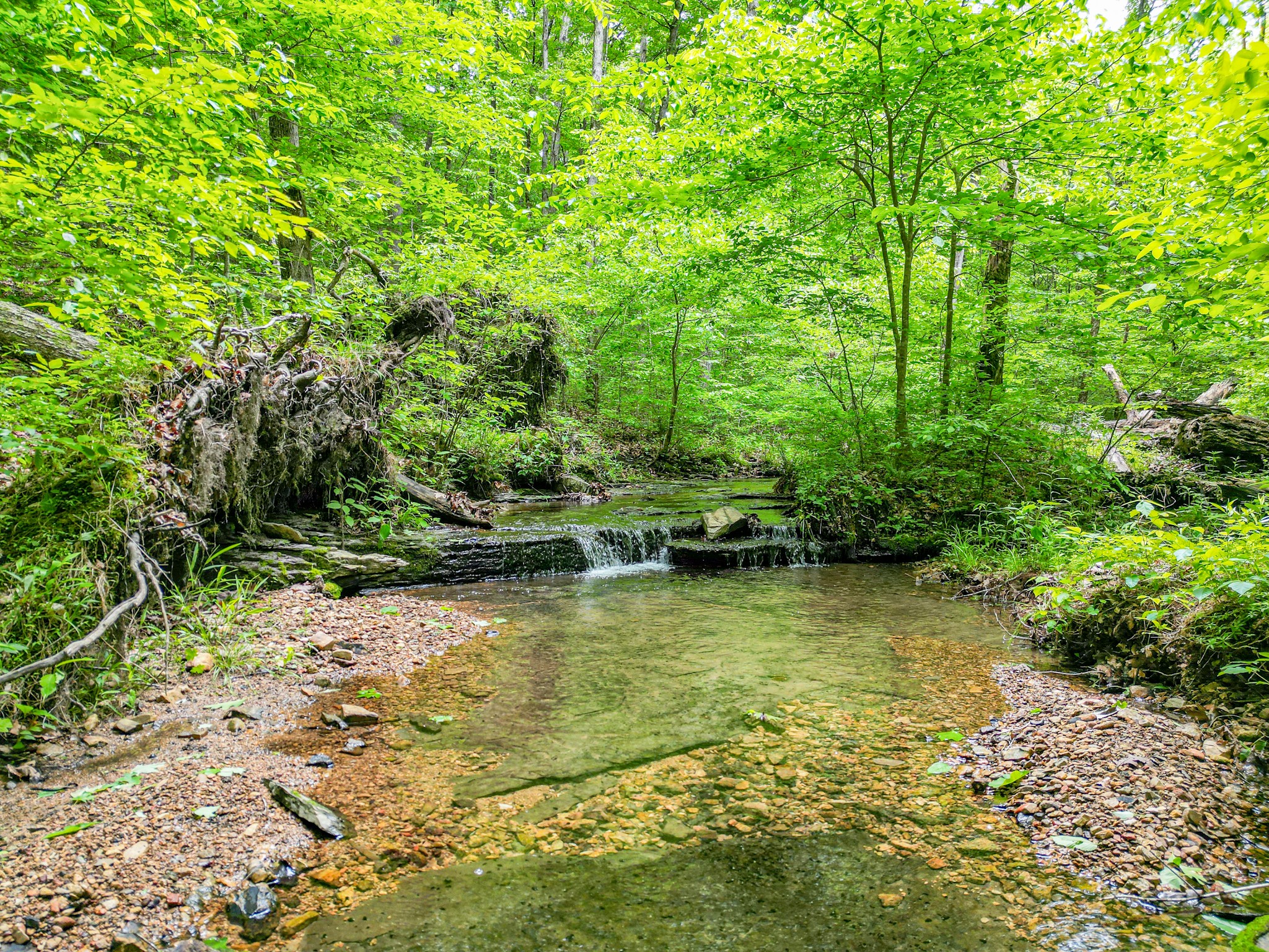 5568 Parker Branch Road