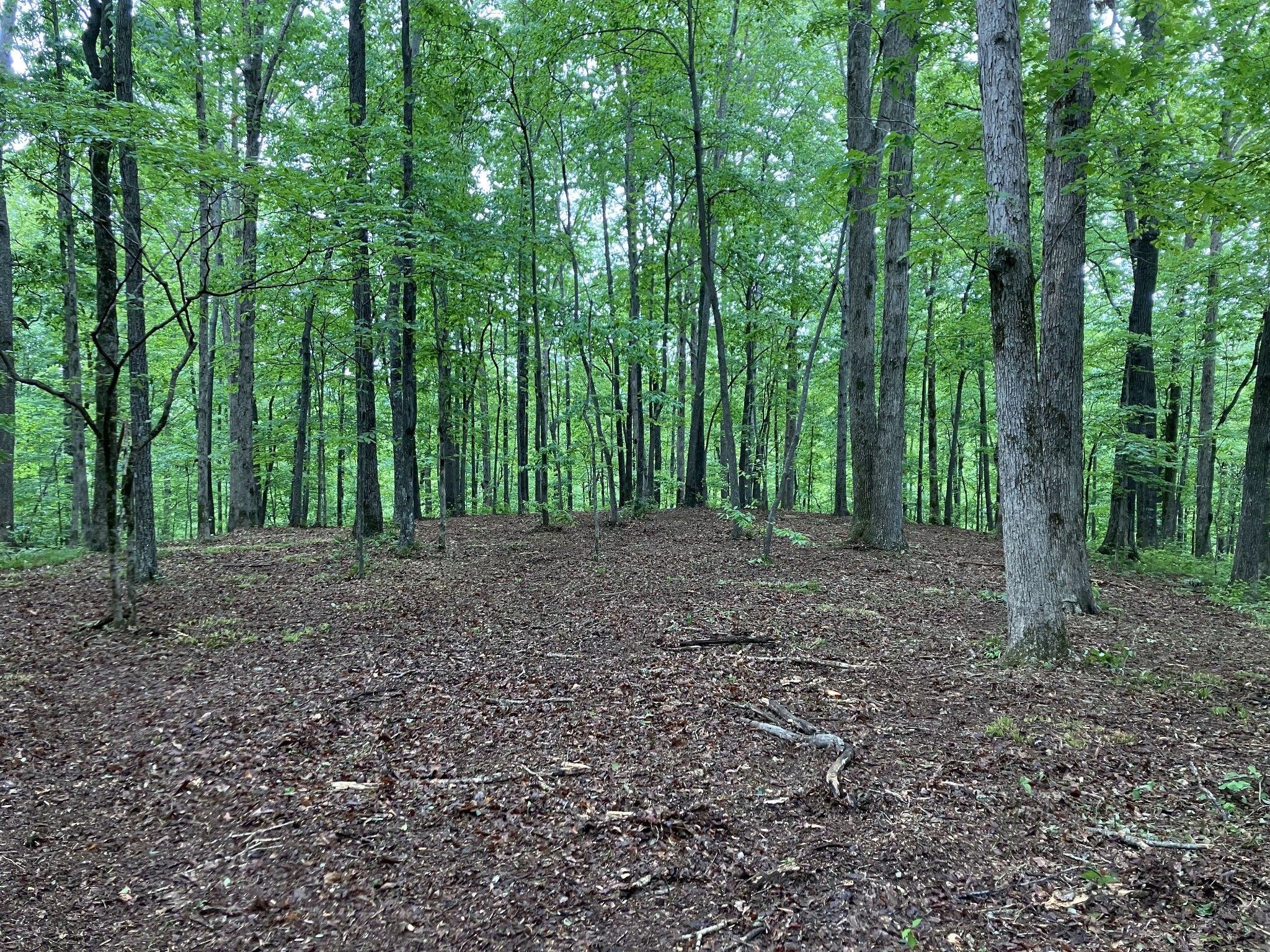 5568 Parker Branch Road