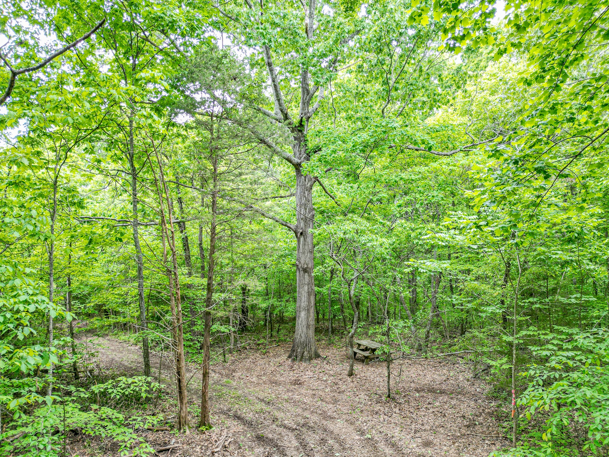 5568 Parker Branch Road