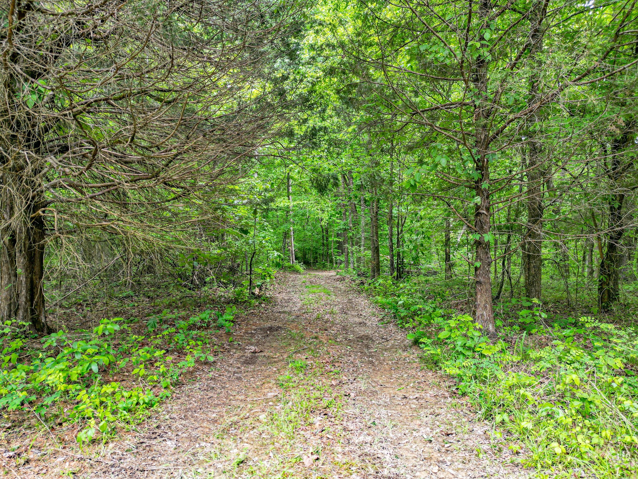 5568 Parker Branch Road