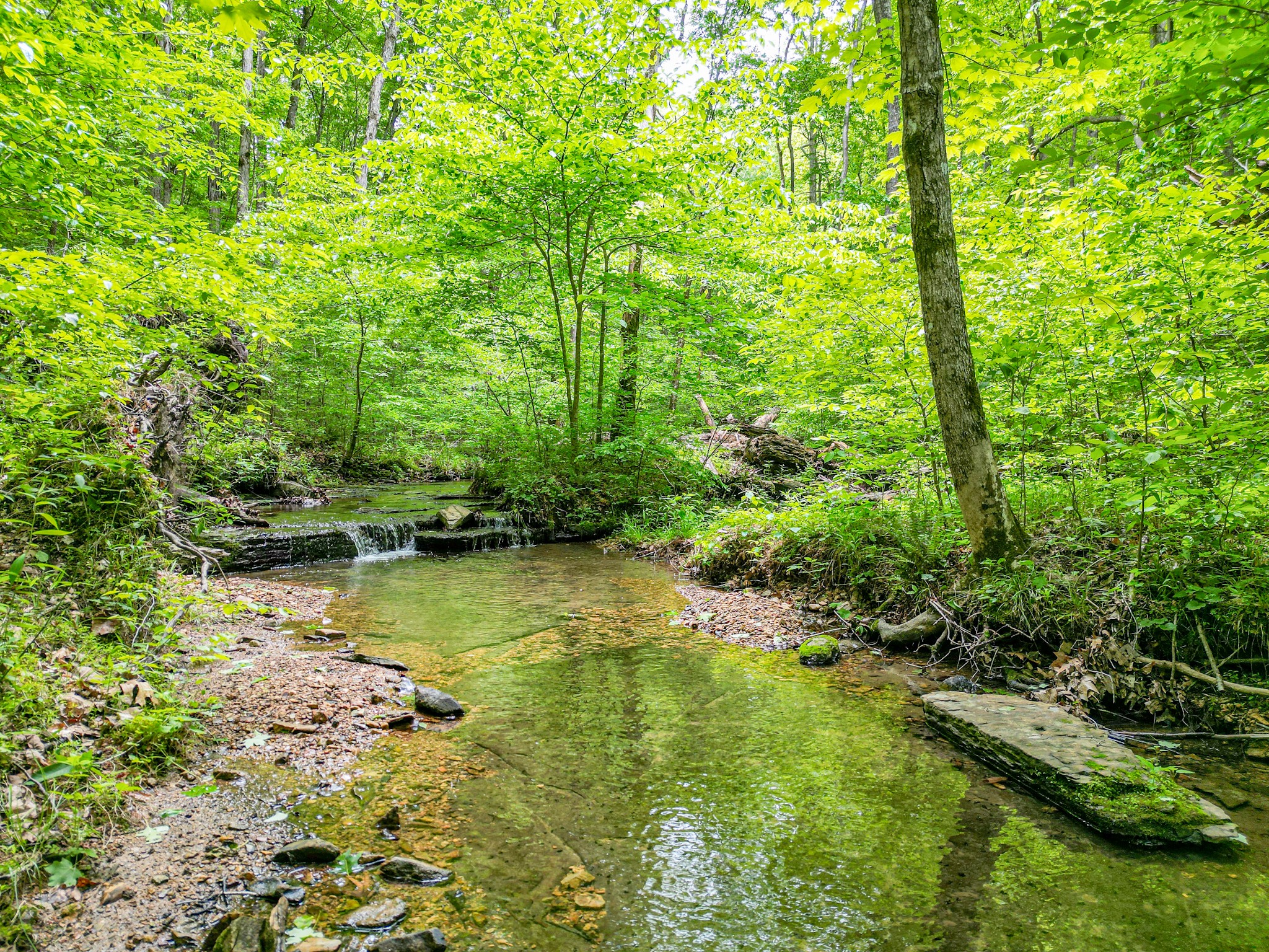 5568 Parker Branch Road