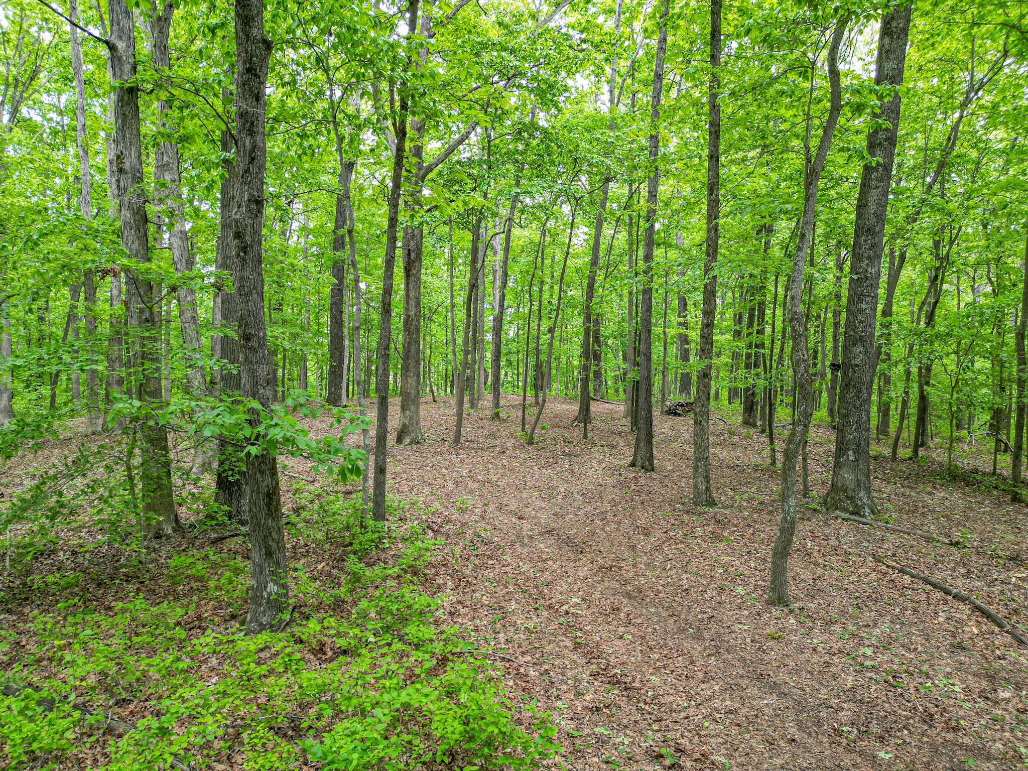 5568 Parker Branch Road