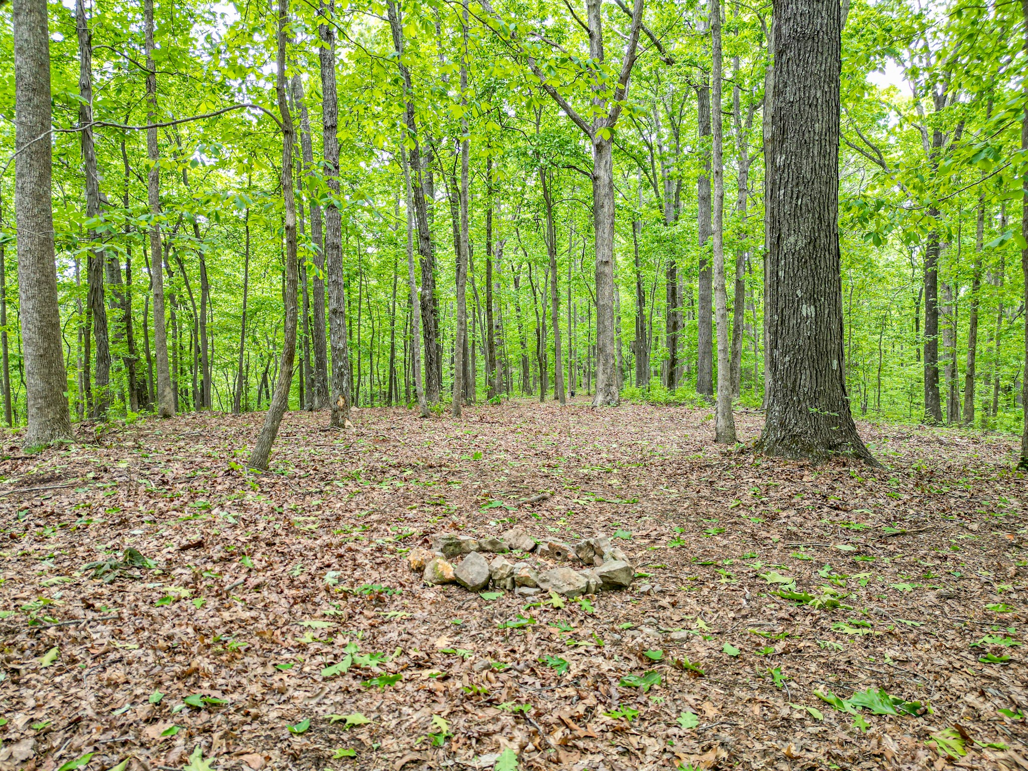 5568 Parker Branch Road