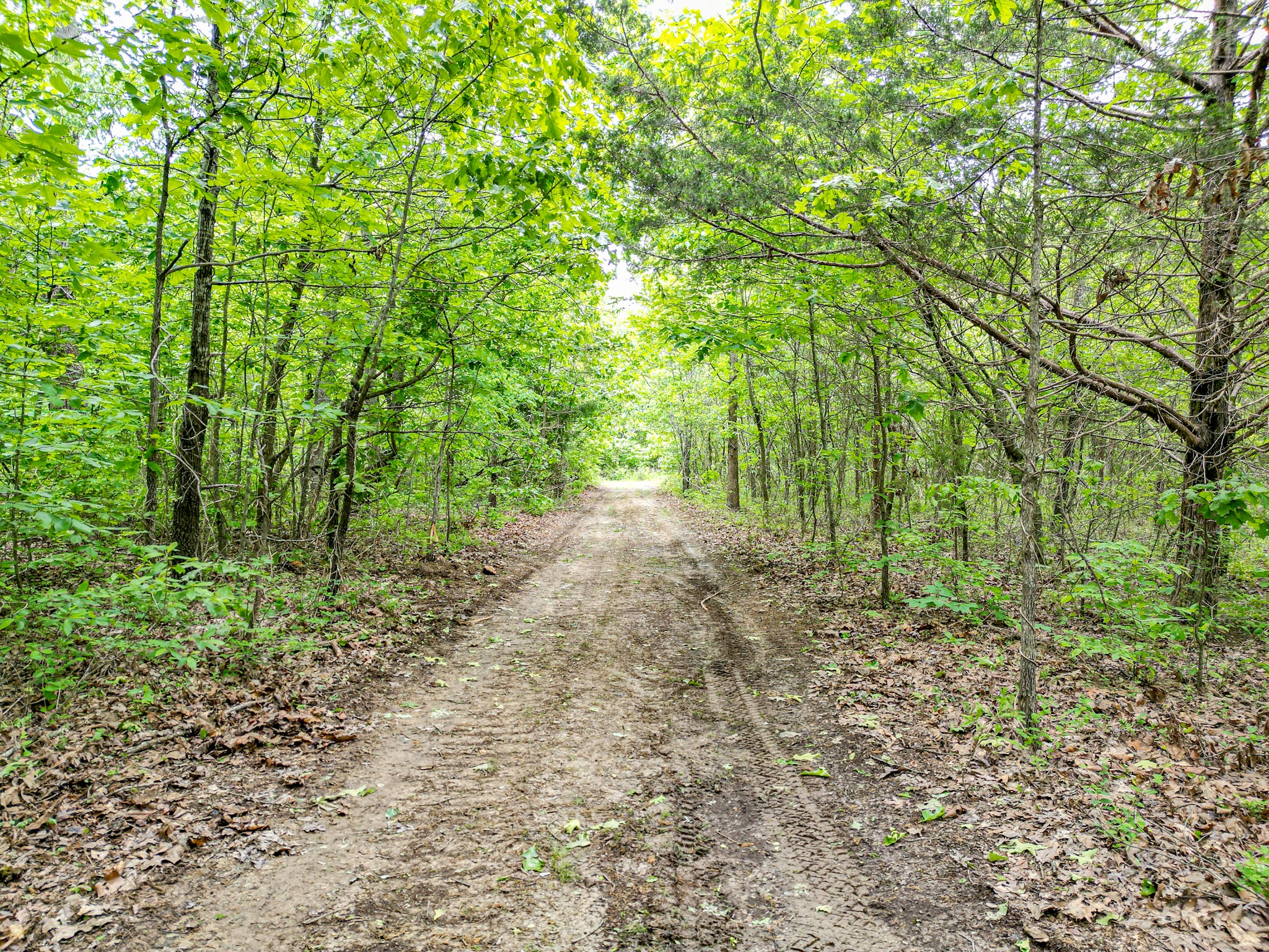 5568 Parker Branch Road