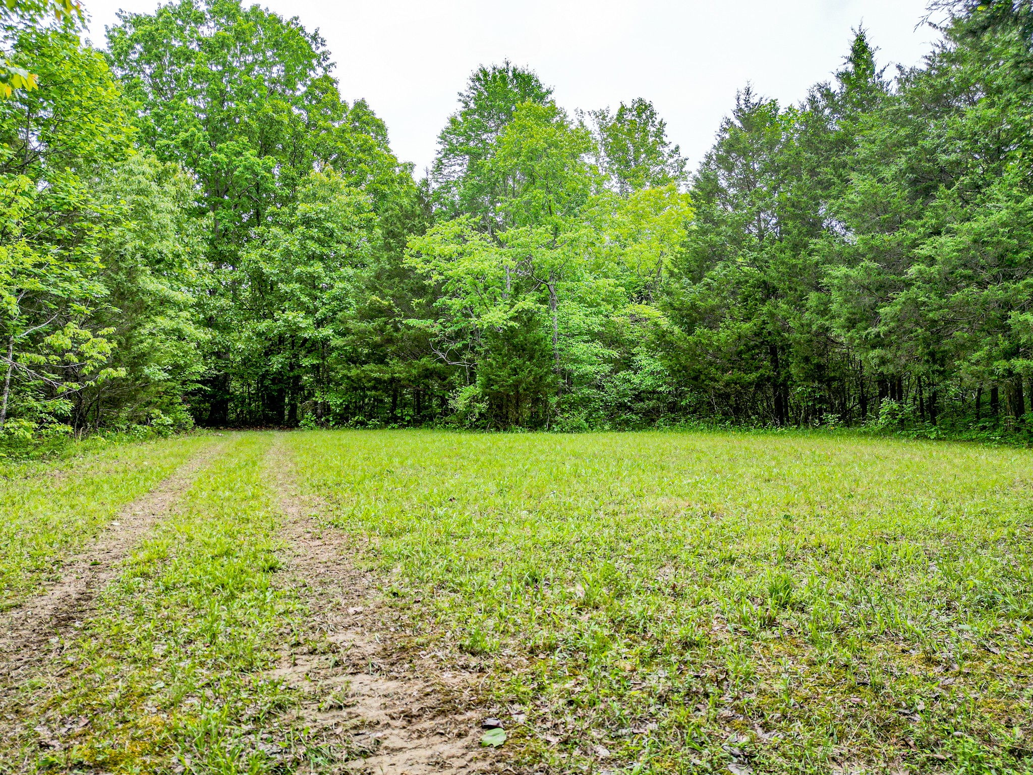 5568 Parker Branch Road