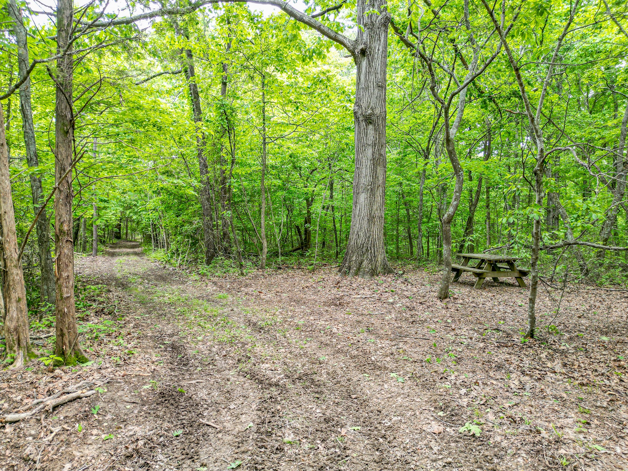 5568 Parker Branch Road