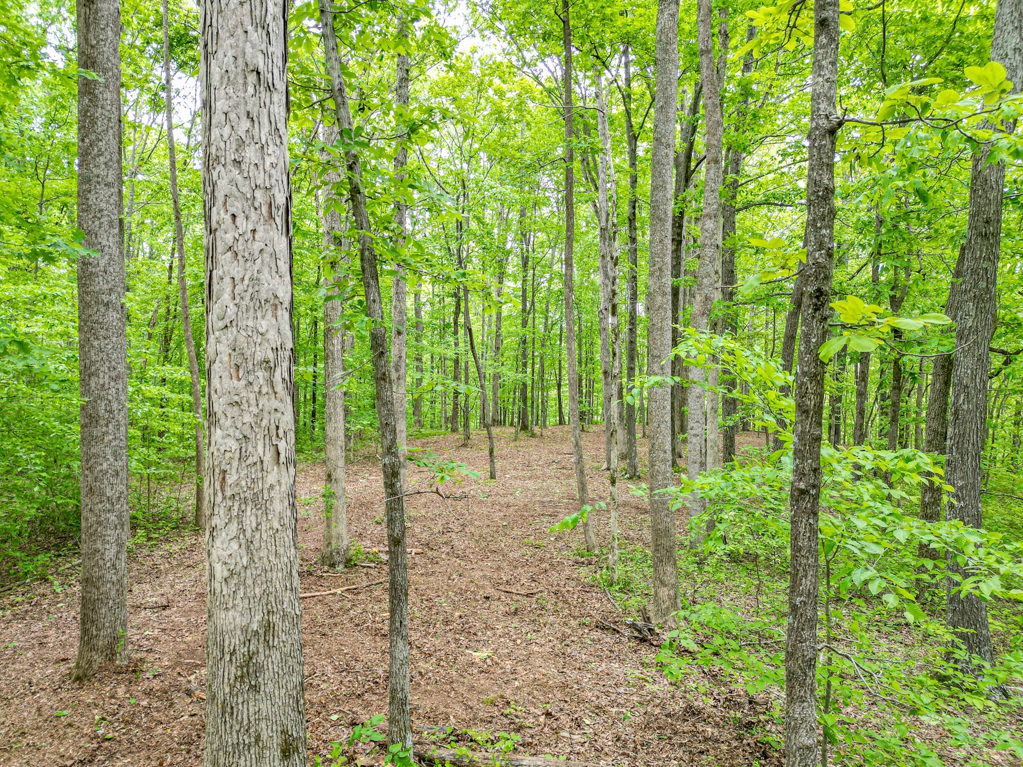 5568 Parker Branch Road