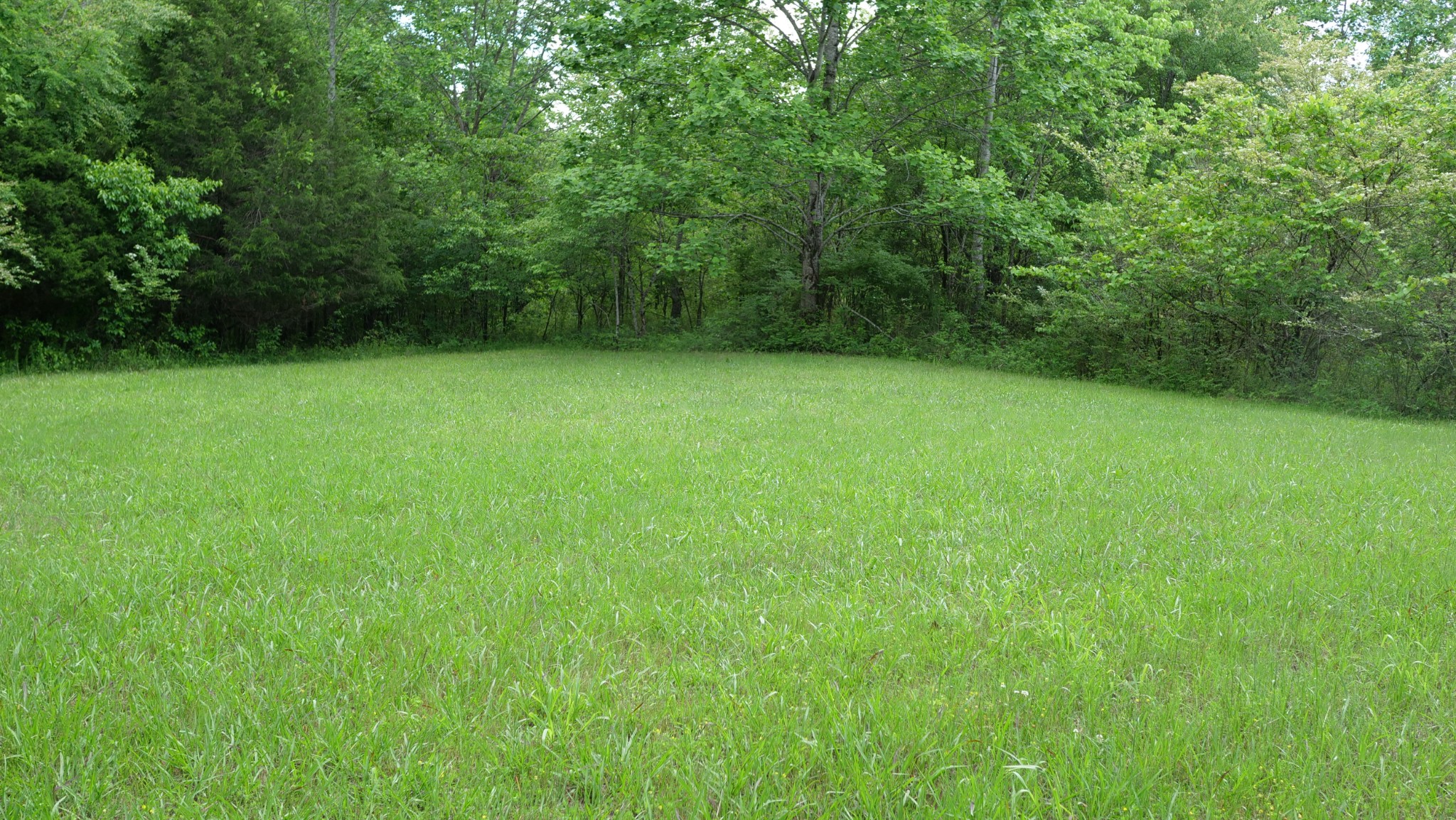 5568 Parker Branch Road