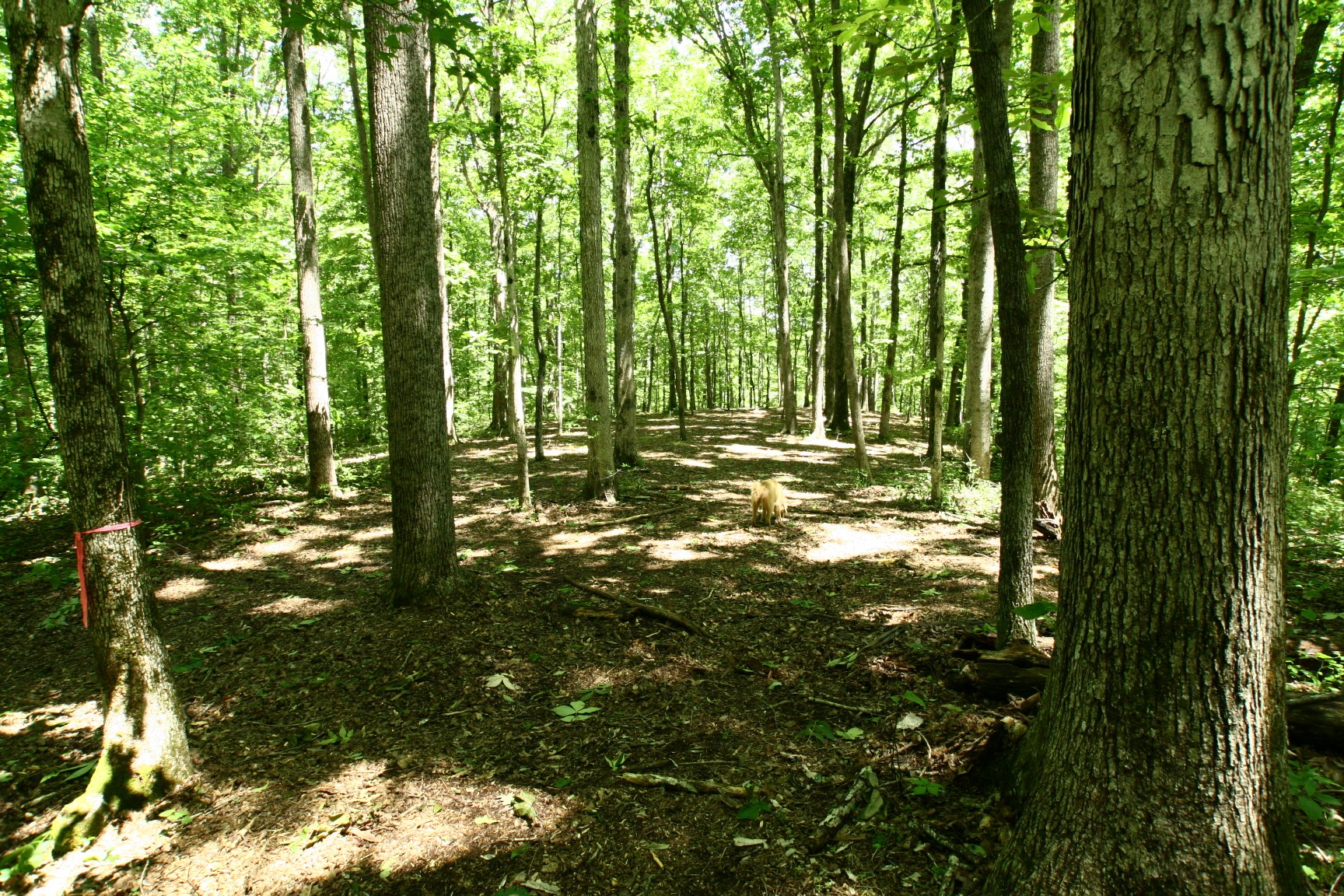 5568 Parker Branch Road