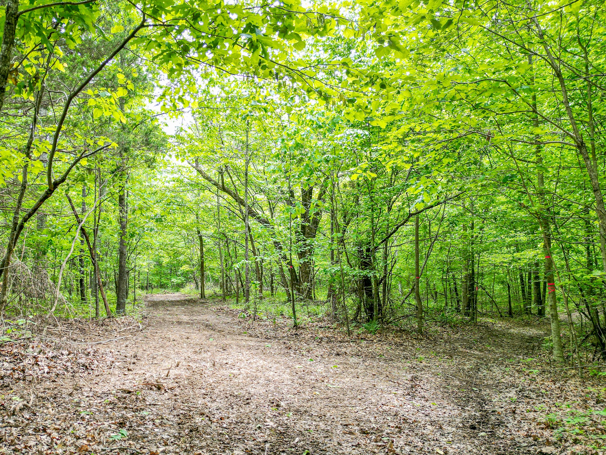 5568 Parker Branch Road