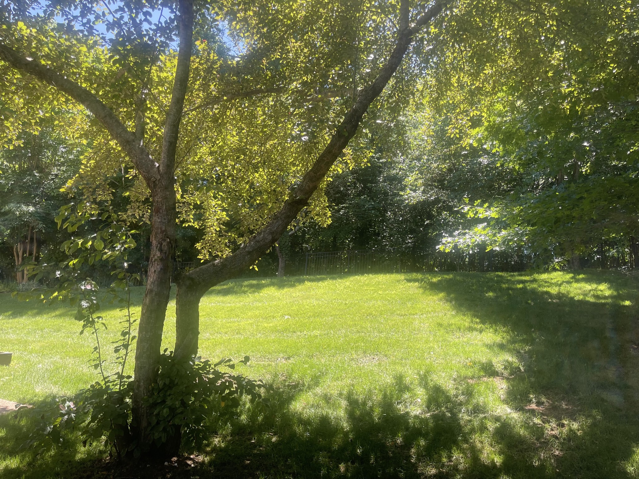 1069 Walnut Bend Lane