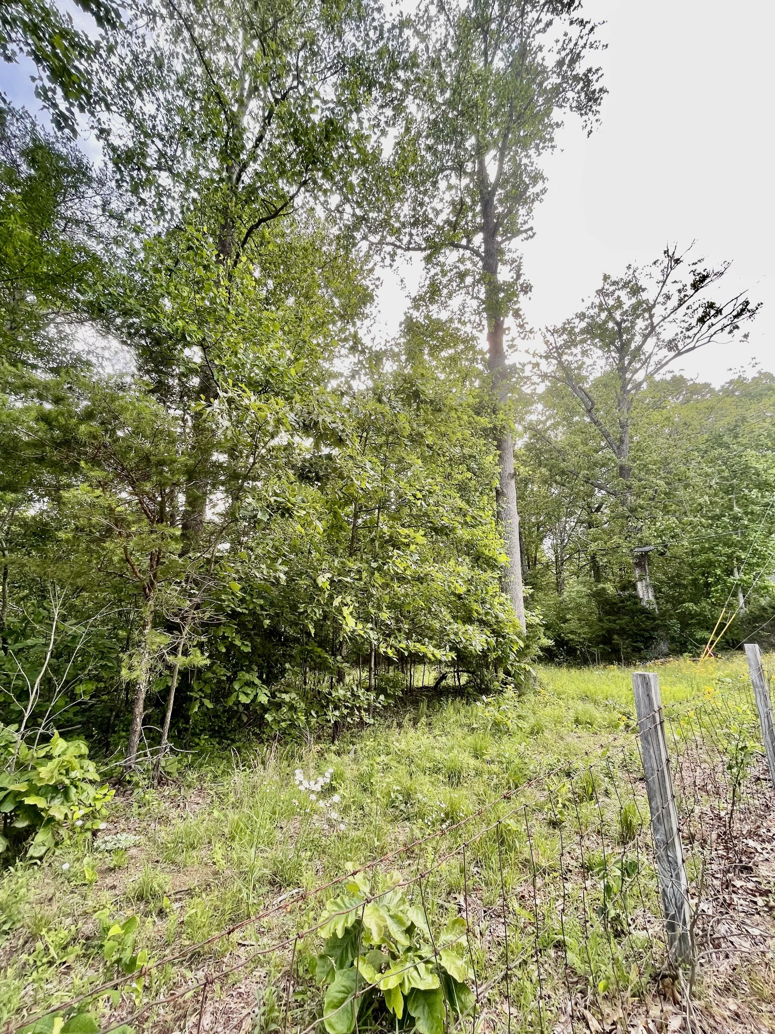 0 Jumpoff Mountain Road