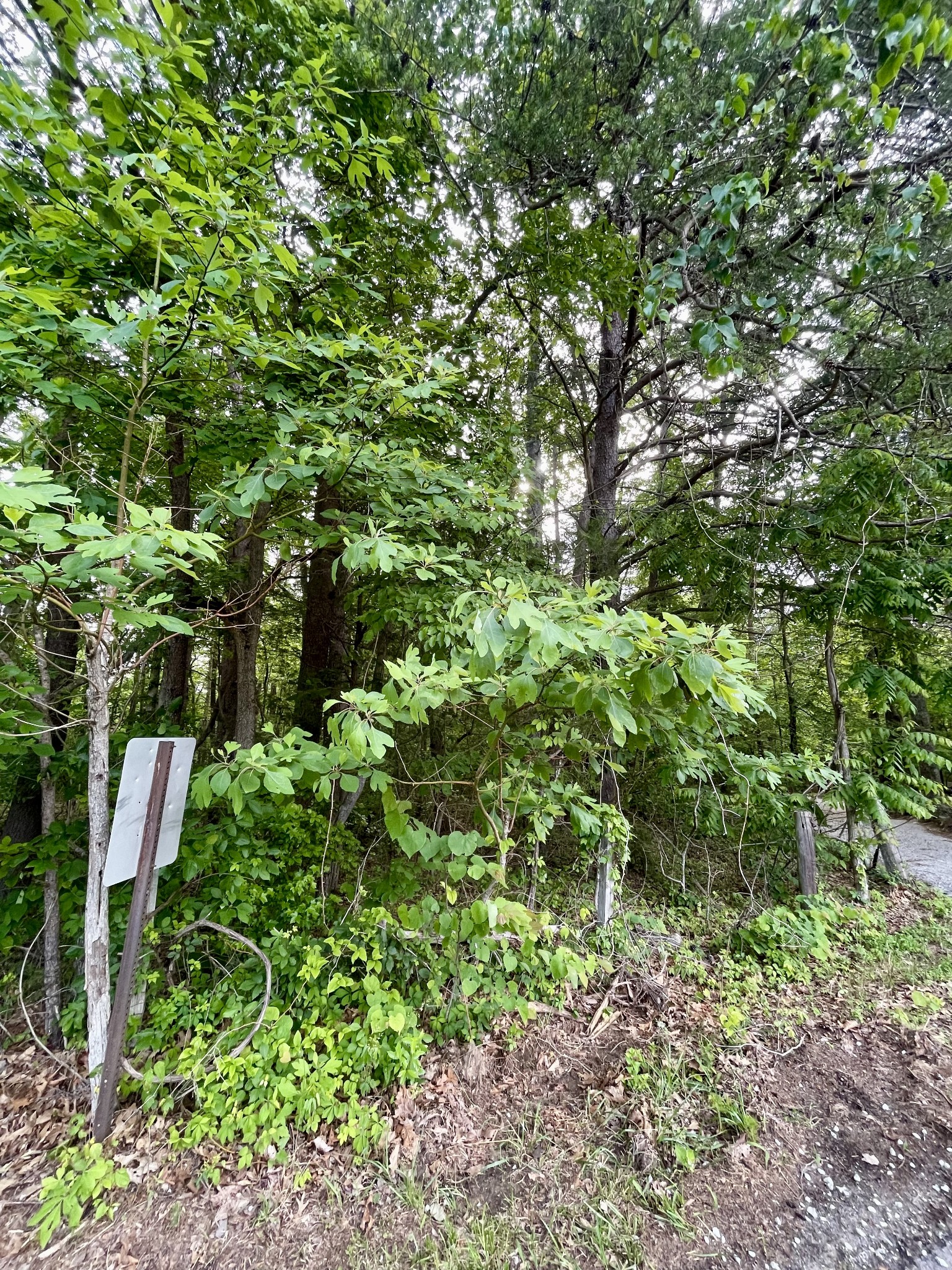 0 Jumpoff Mountain Road