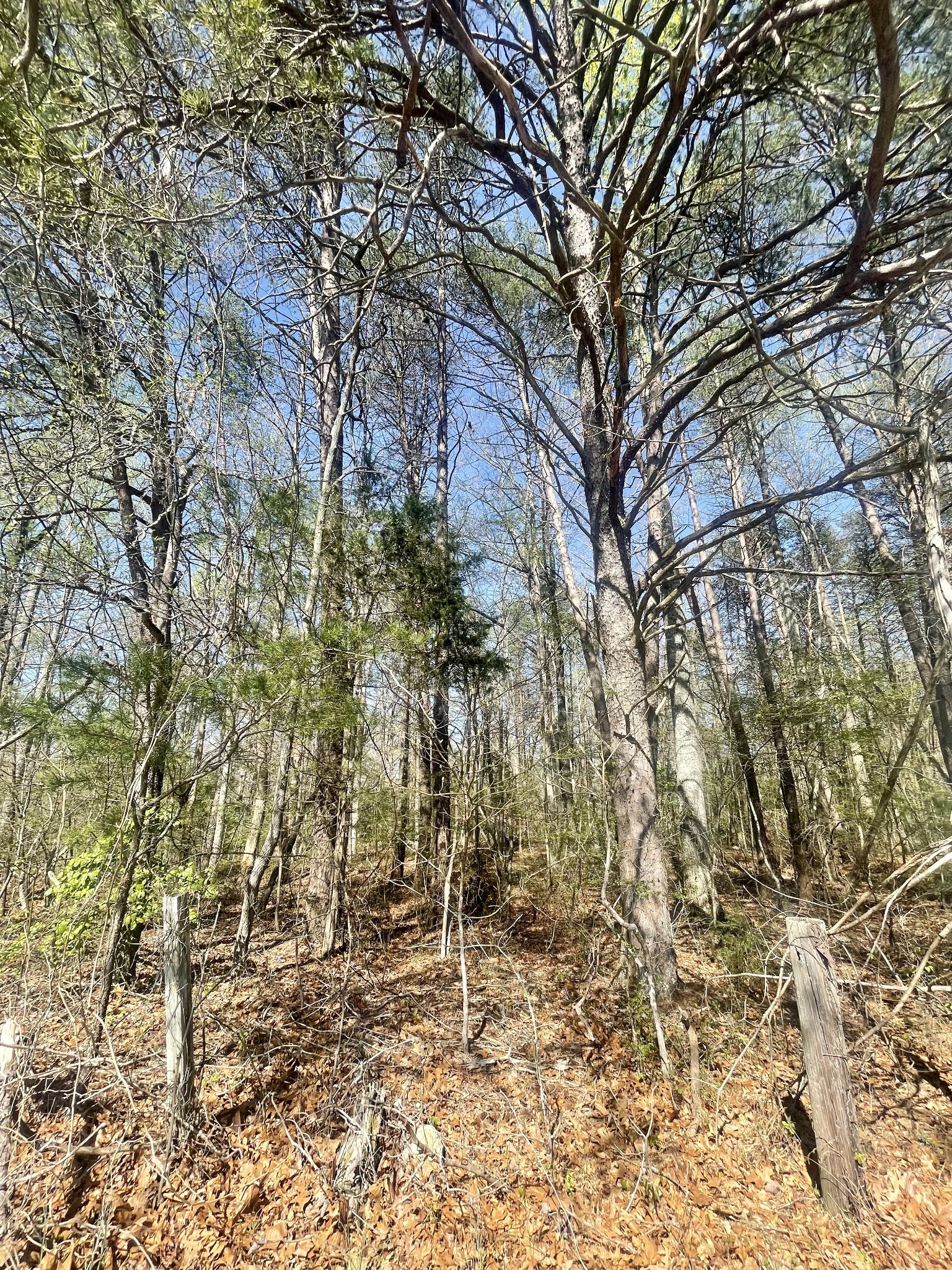 0 Jumpoff Mountain Road