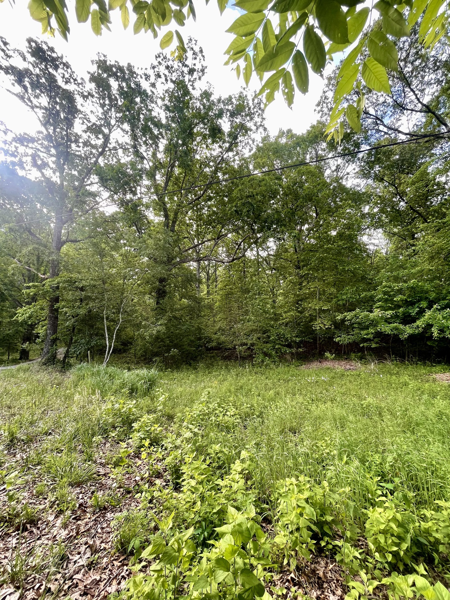 0 Jumpoff Mountain Road