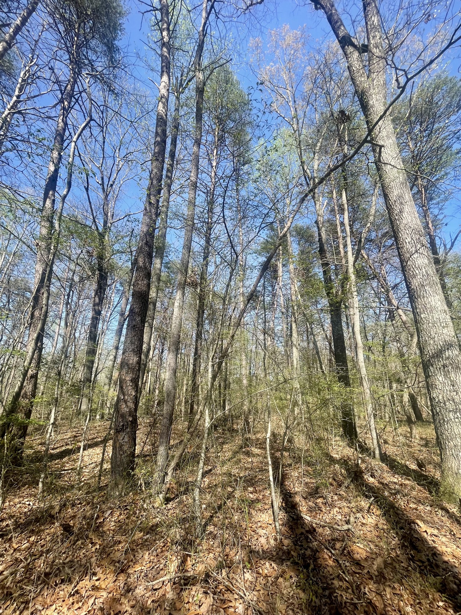 0 Jumpoff Mountain Road