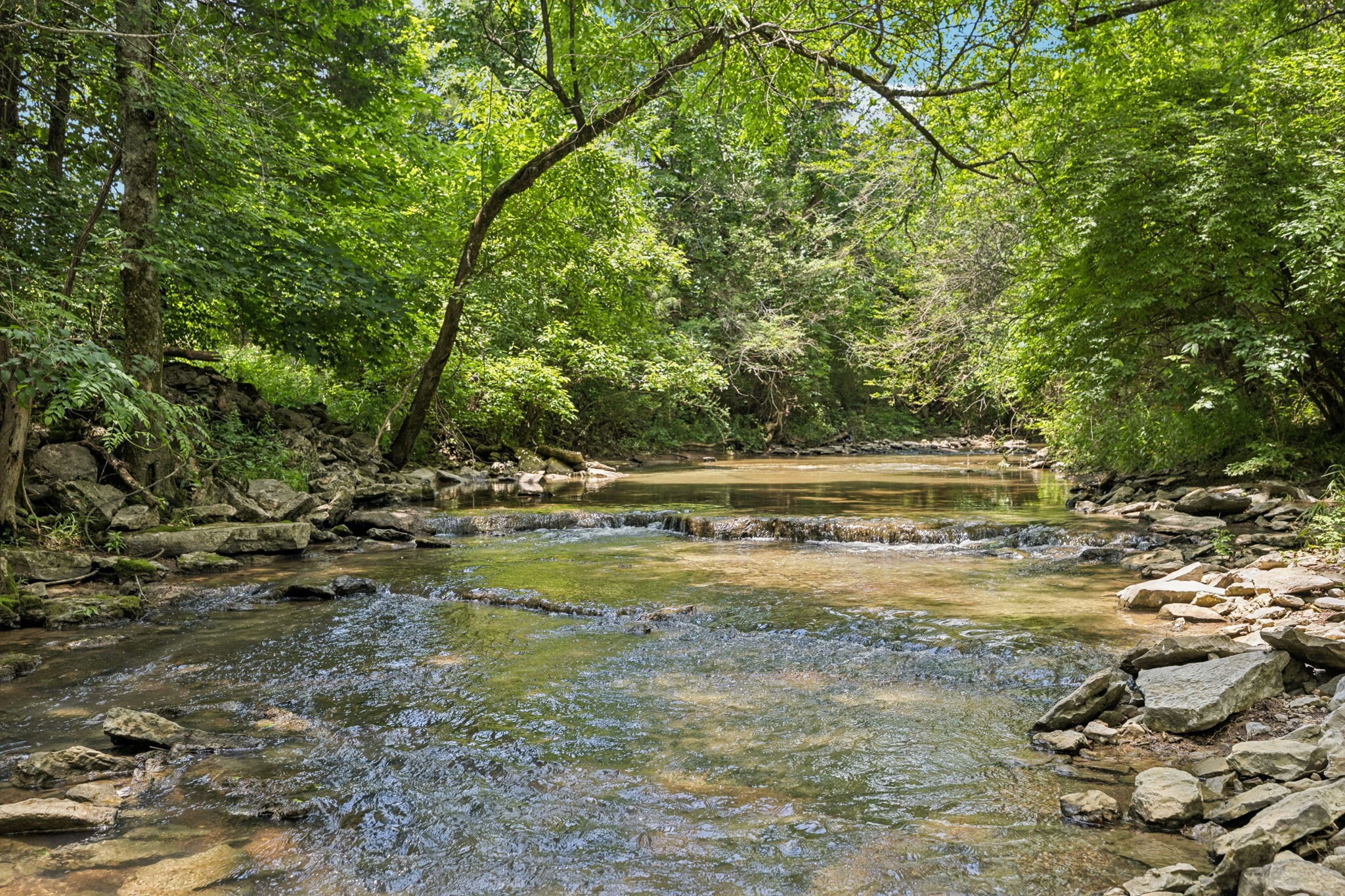 0 Rally Hill Rd Bear Creek Rd
