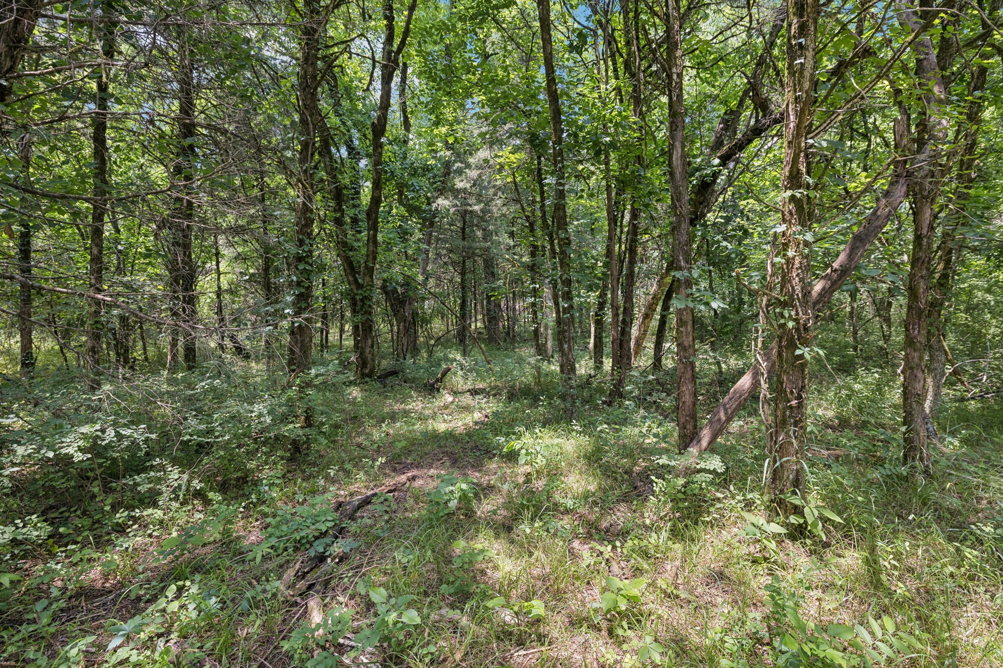 0 Rally Hill Rd Bear Creek Rd