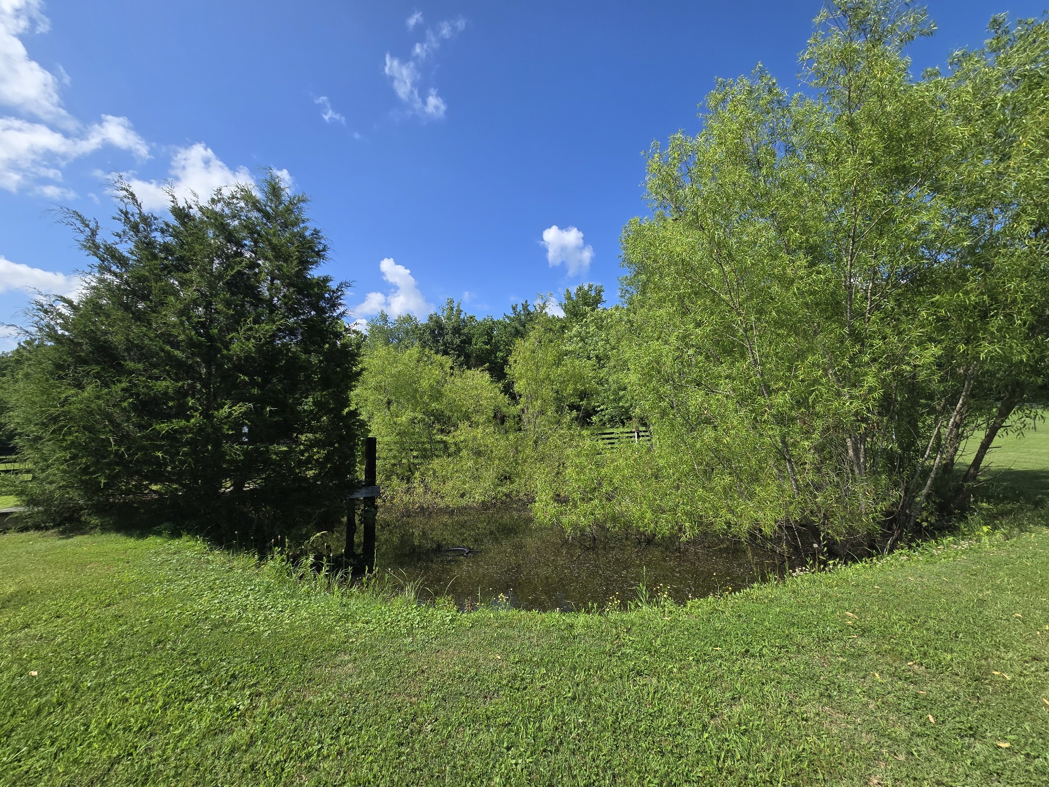 9563 S Harpeth Rd