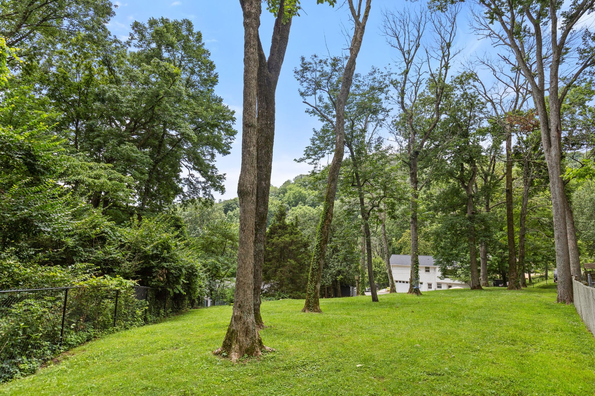 310 Forrest Valley Dr