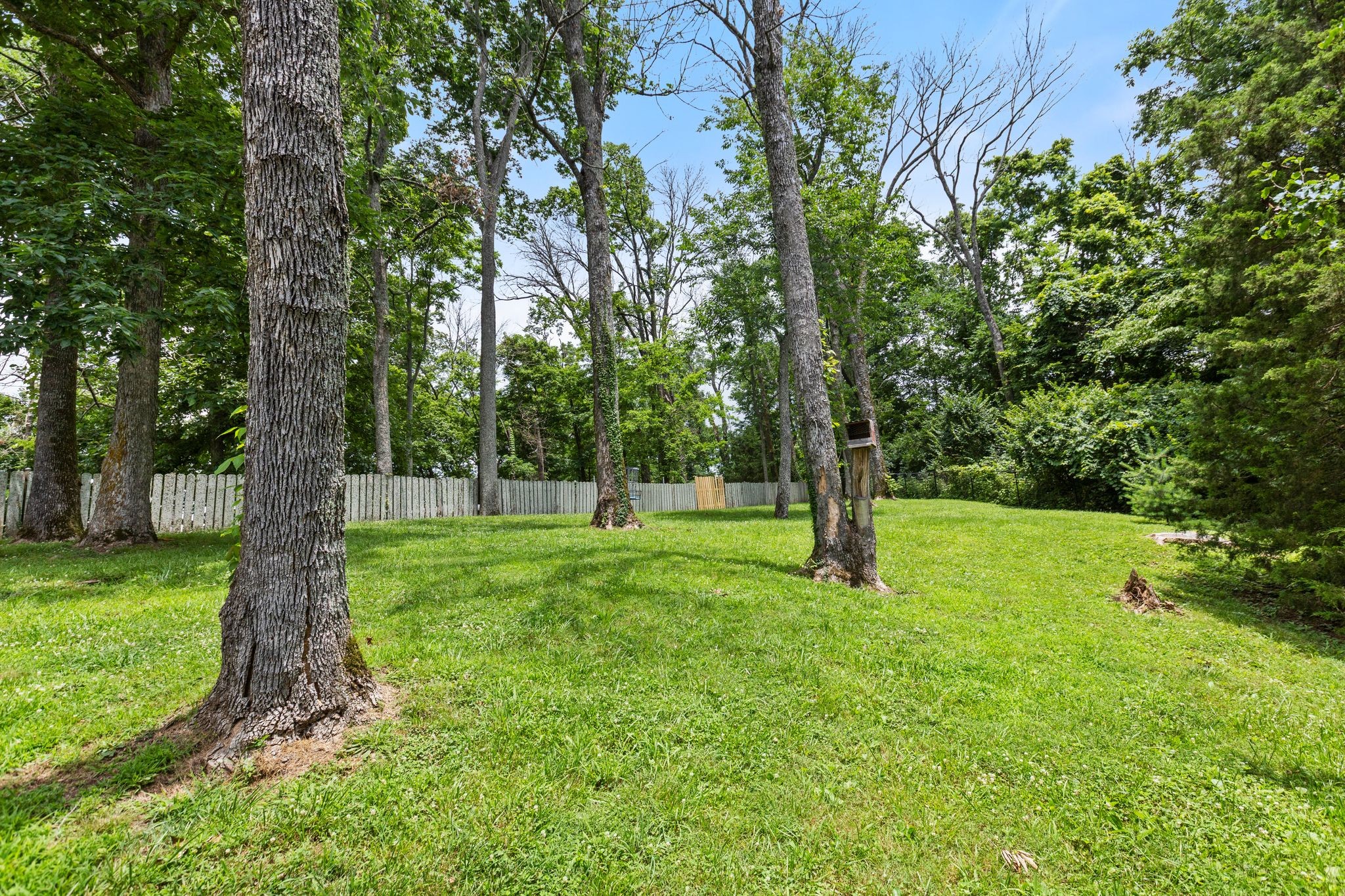 310 Forrest Valley Dr