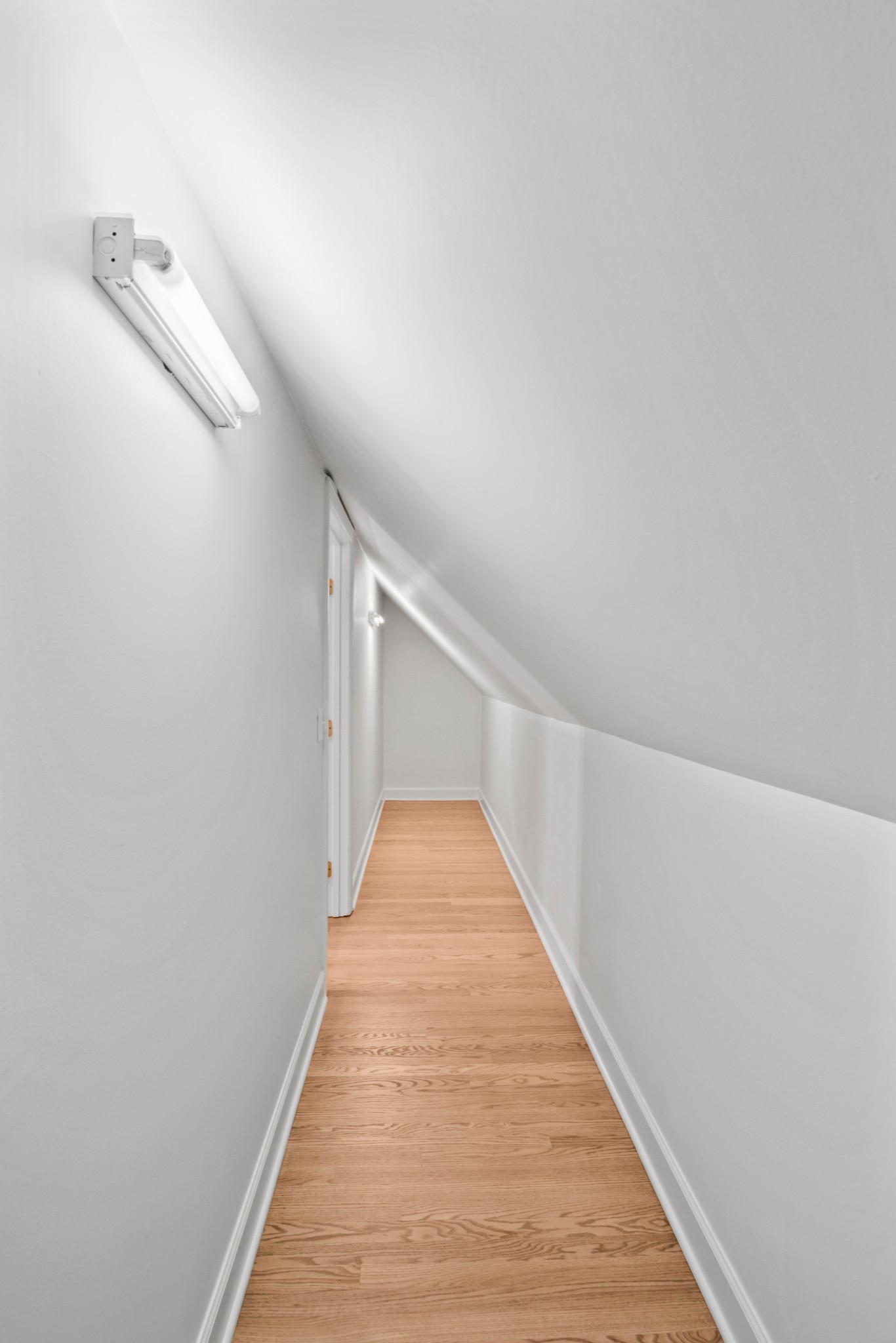 5212 Shenandoah Court