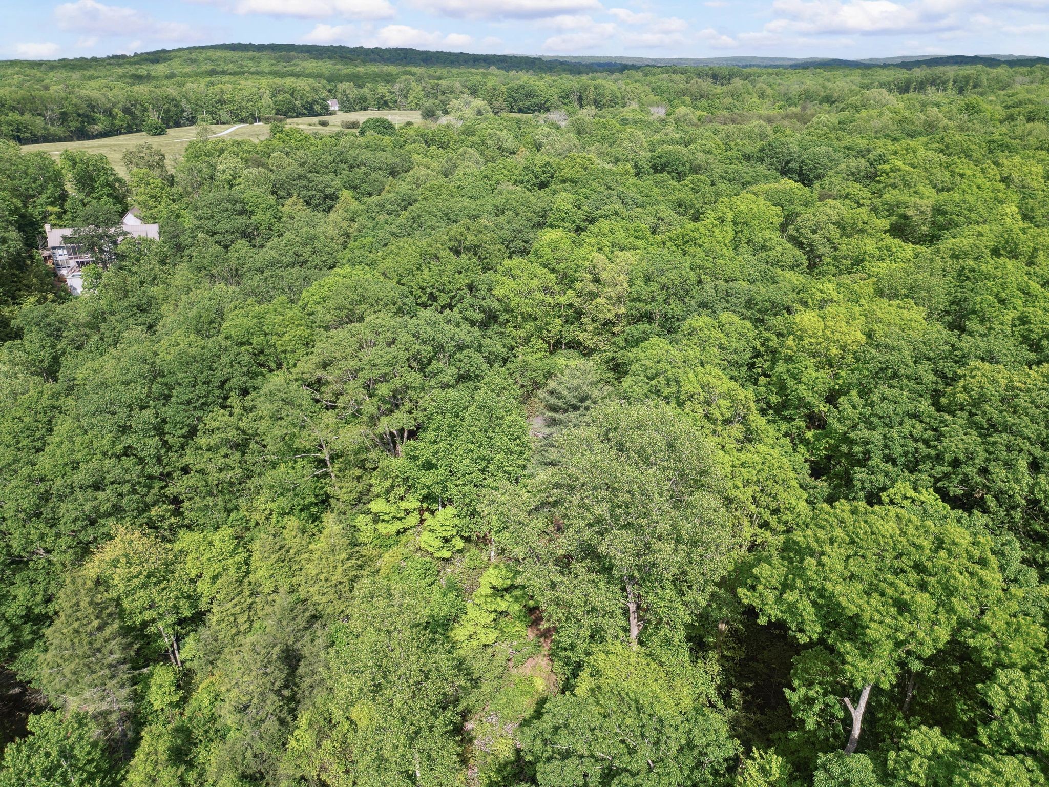 232 Hollingsworth Cove Rd
