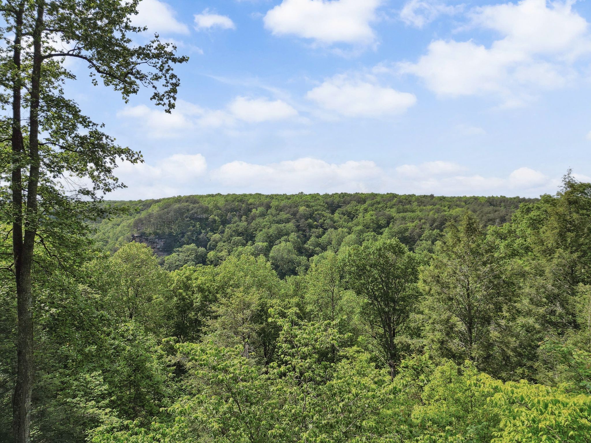 232 Hollingsworth Cove Rd