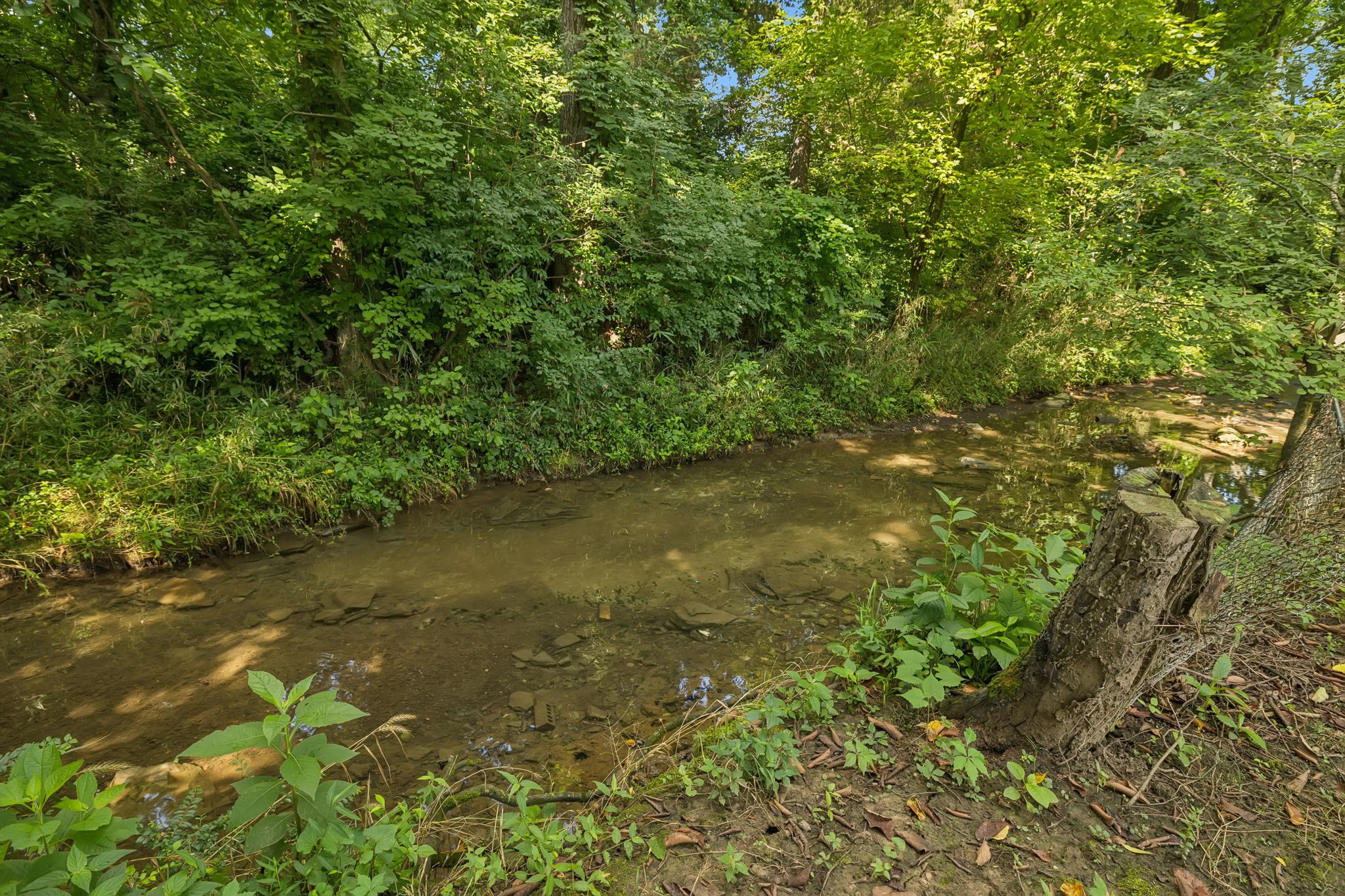 119 Sunnymeade Dr